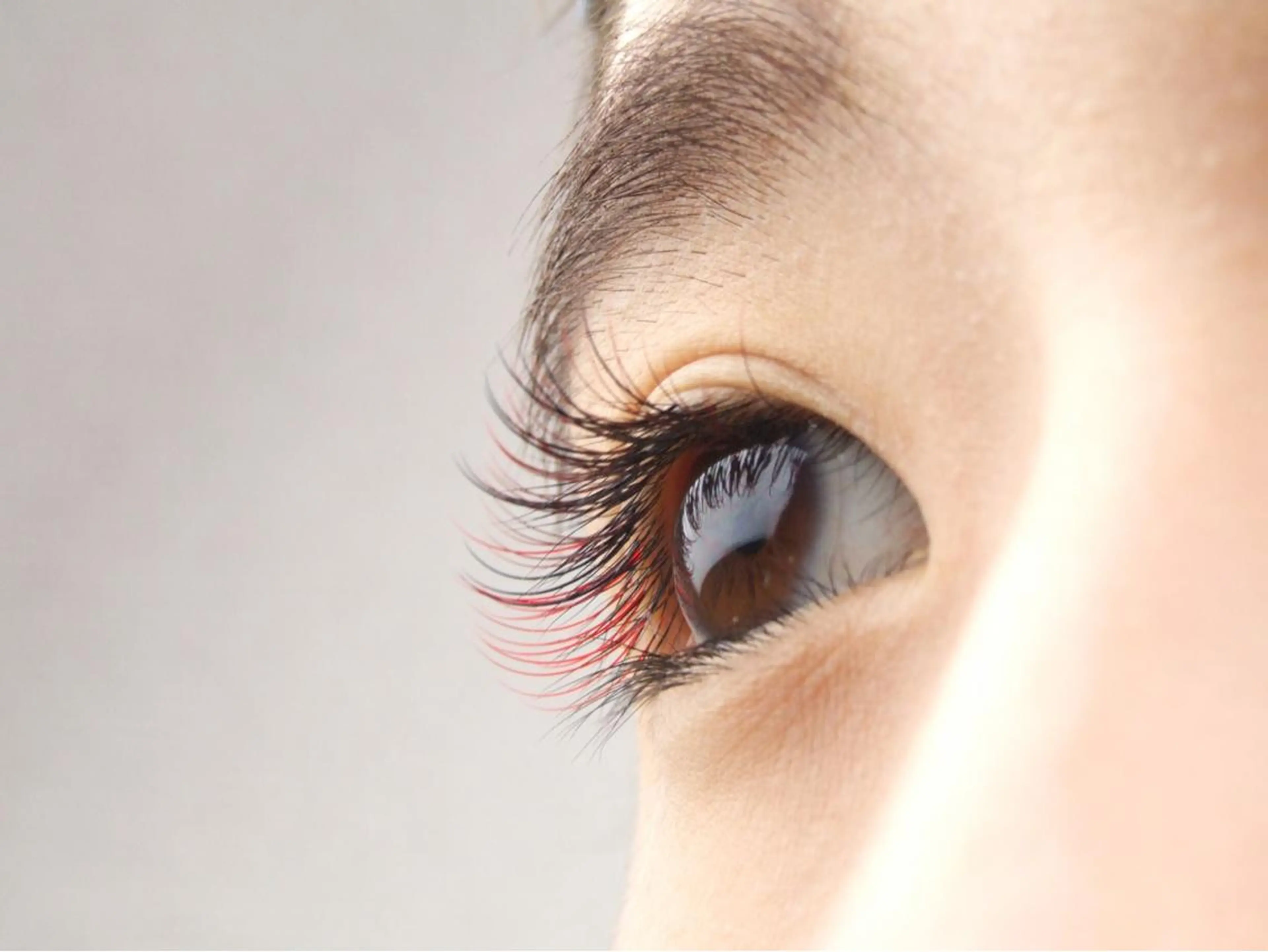 フラットラッシュ120本の写真