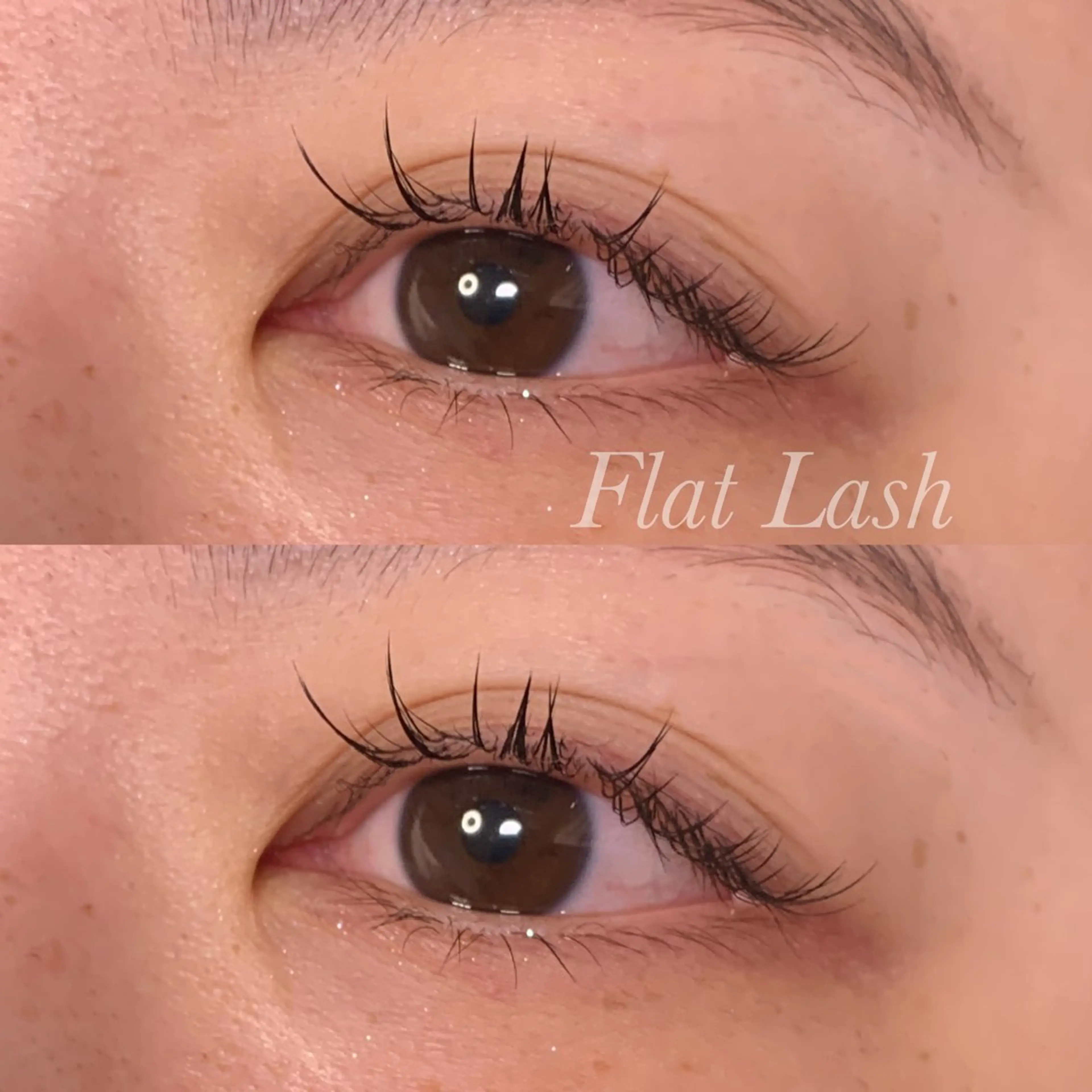 マツエク・マツパ Cカール フラットラッシュ Ayumi.pro 🍆N《4階》のマツエク・マツパデザイン