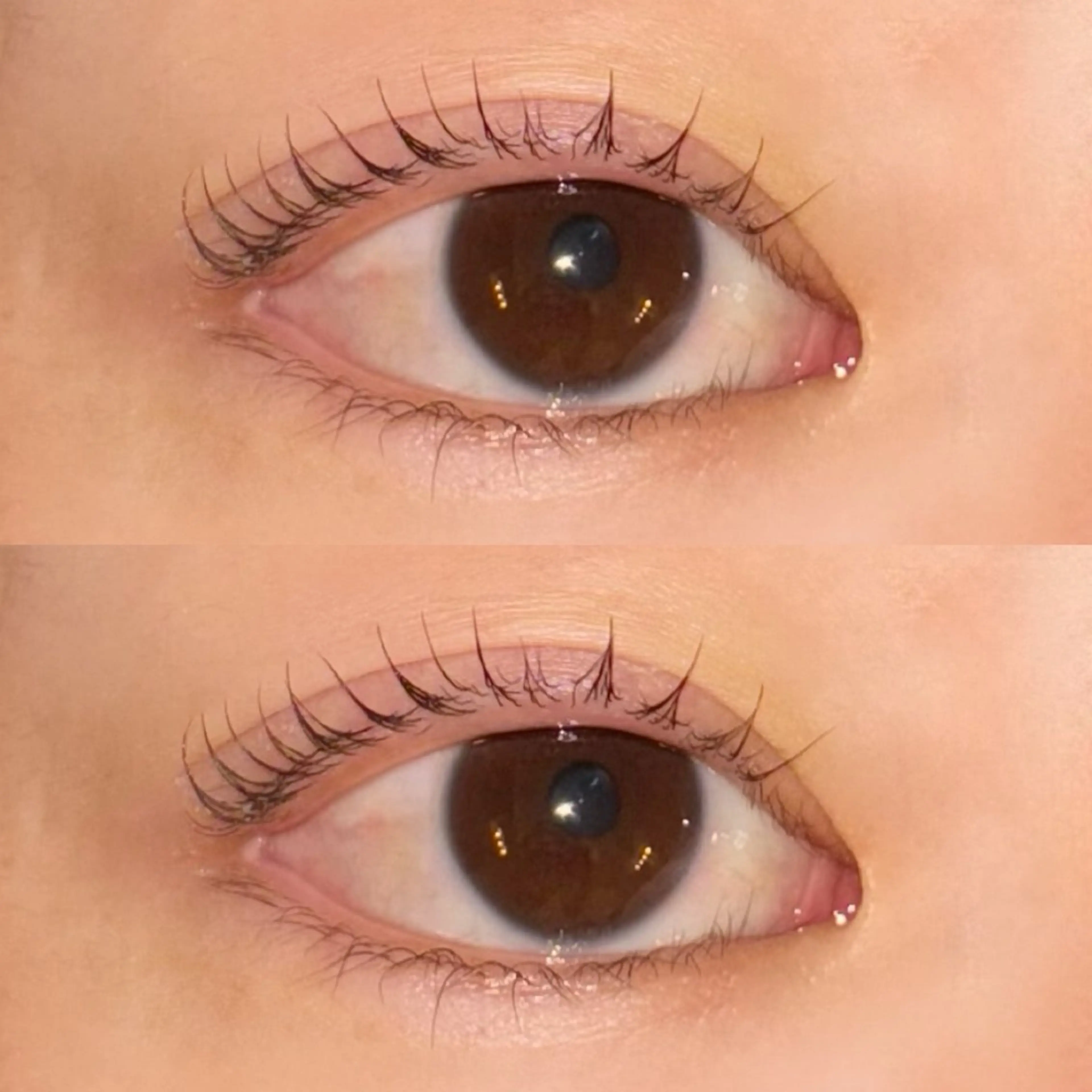 マツエク・マツパ まつげパーマ 🍇chinatsu 🍇en Rêveのマツエク・マツパデザイン