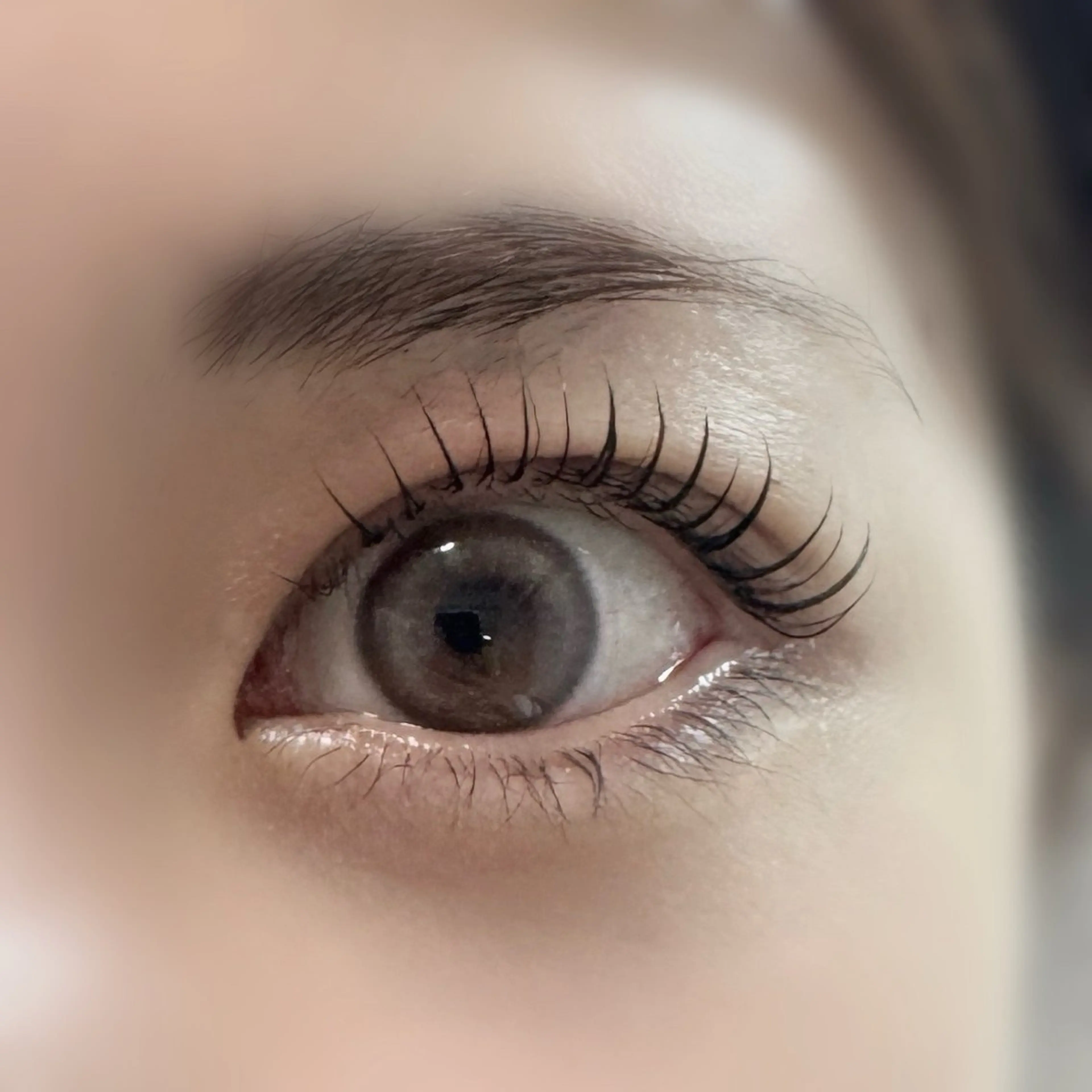 マツエク・マツパ マツパ Salon Bi. /ERIKAの眉毛・アイブロウイメージ