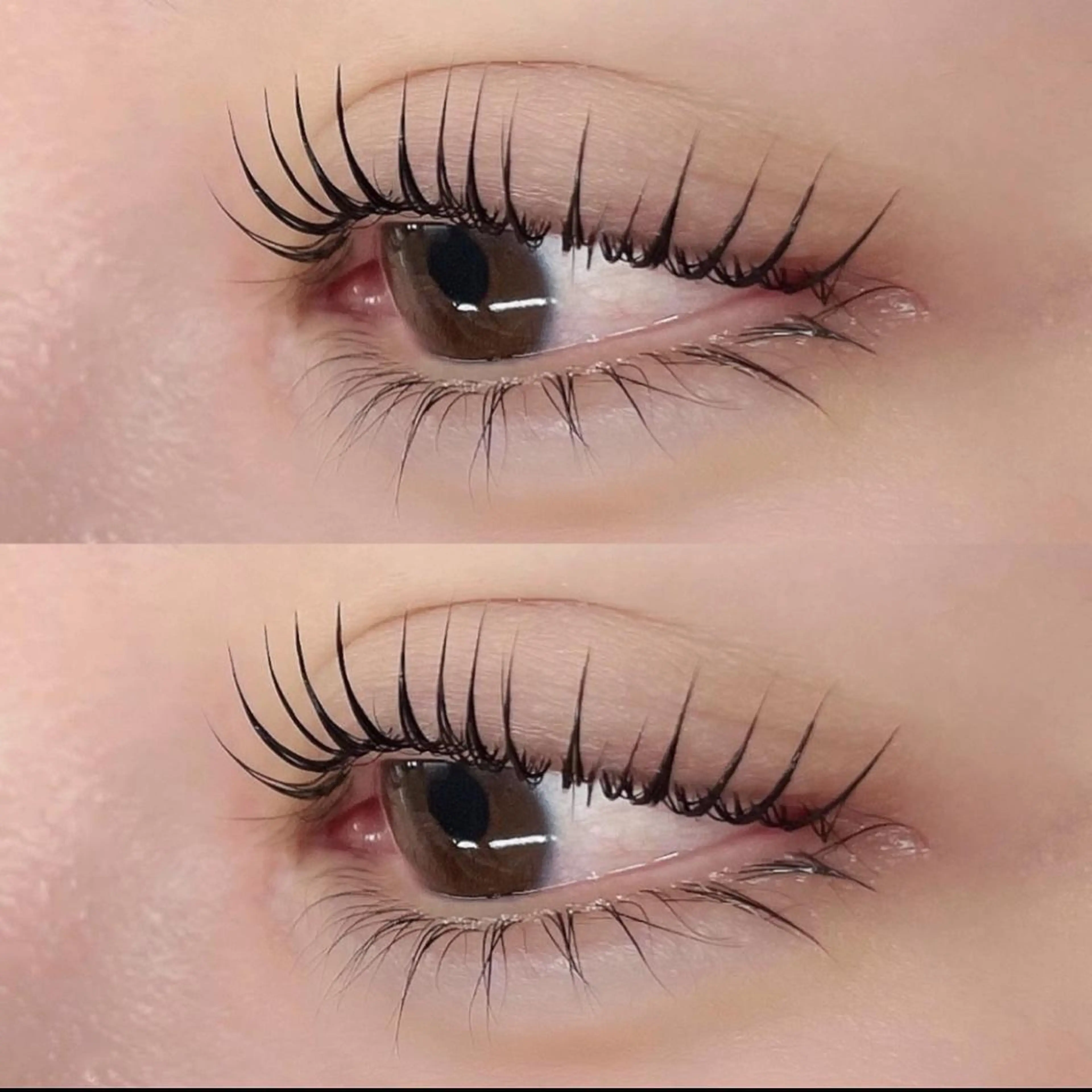 マツエク・マツパ マツパ shuon 武蔵境店所属・【武蔵境店】工藤 さくらのマツエク・マツパデザイン