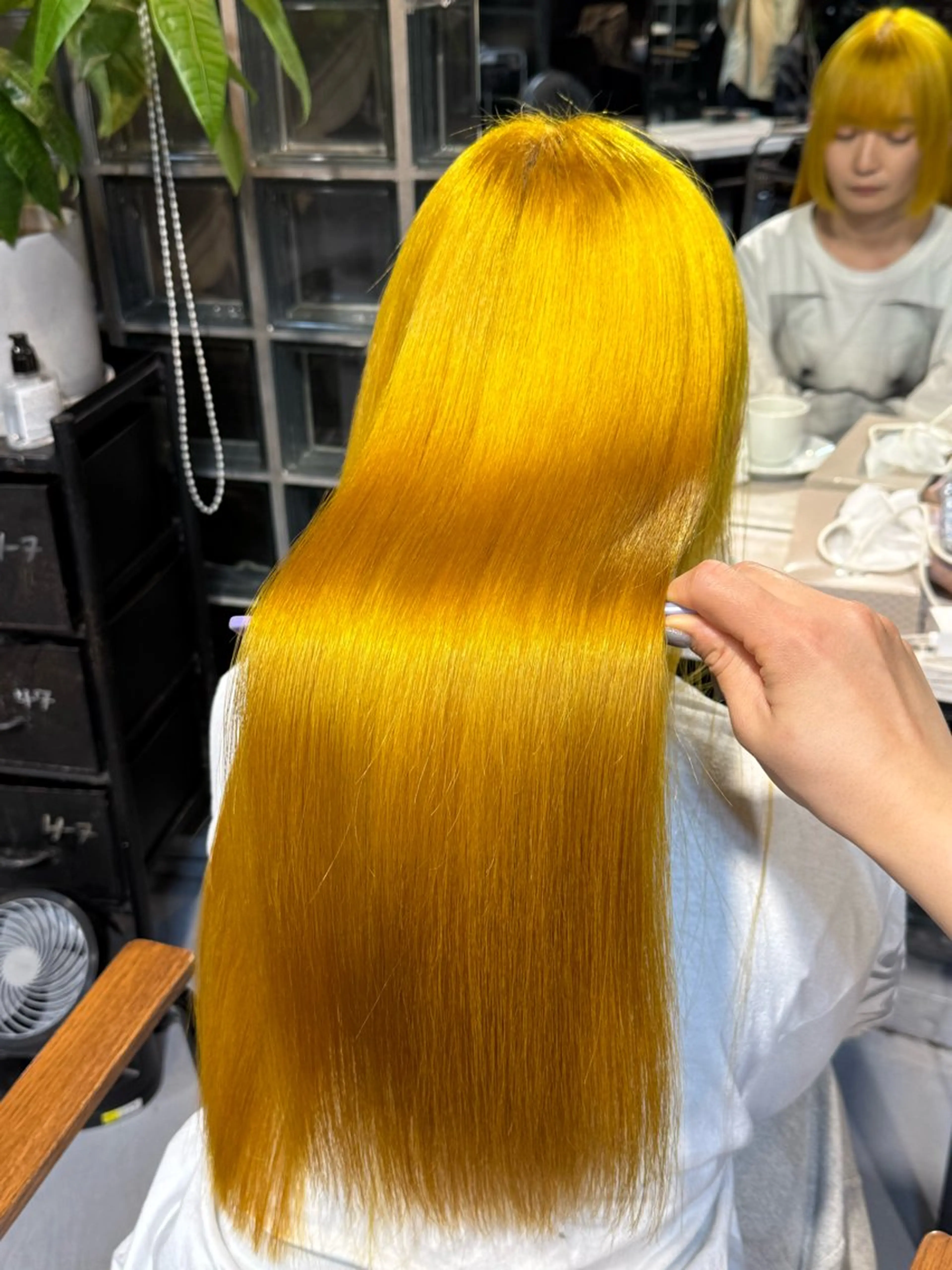 カラー ダブルカラー ヘアカラー 🫐ハイトーンカラー RIRIKA🌻のヘアスタイル