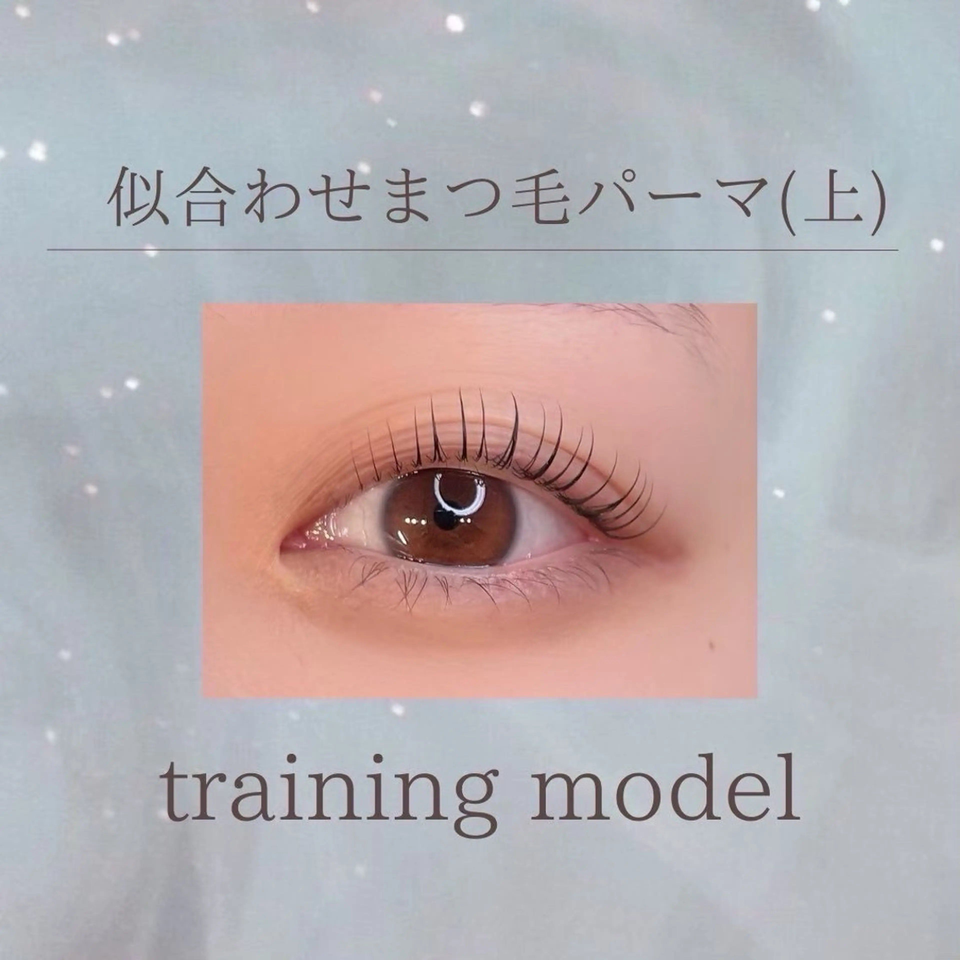 似合わせまつ毛パーマ(上のみ)の写真