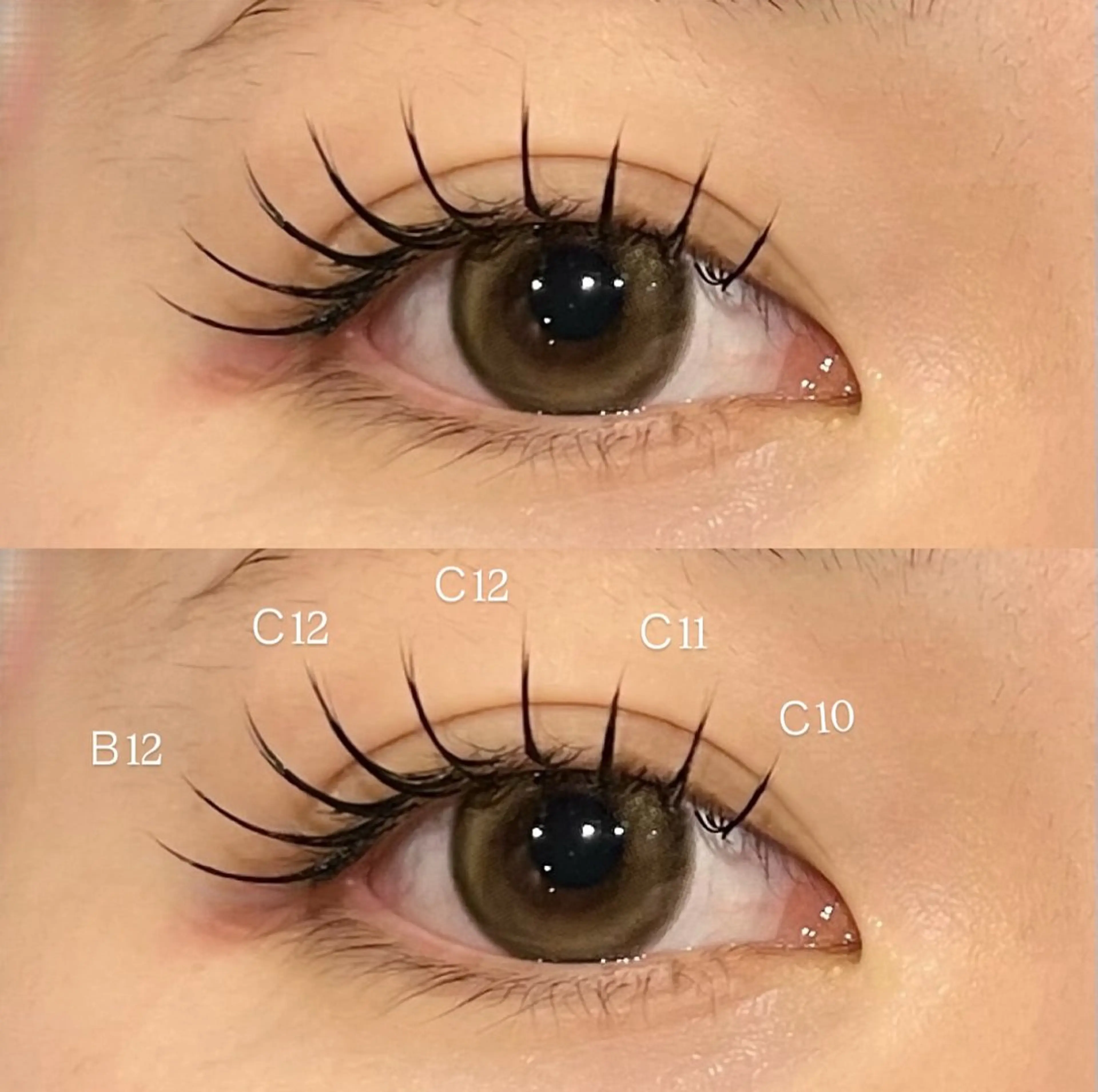 🐰ミンクセーブル🐰120本までつけ放題✨（オフ・コーティング込み）の写真