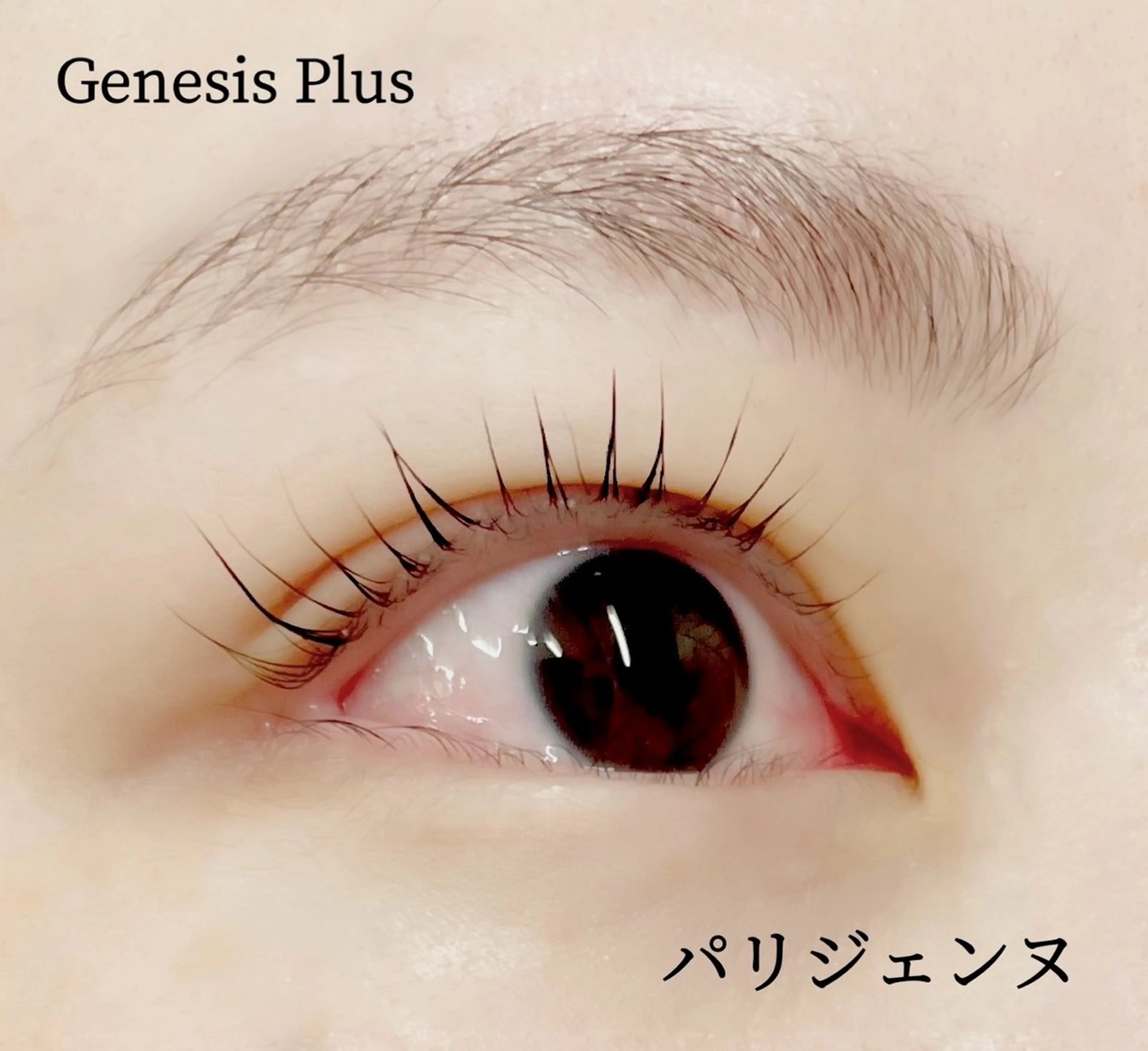 マツエク・マツパ パリジェンヌラッシュリフト マツパ Genesis Plus大津京店のマツエク・マツパデザイン