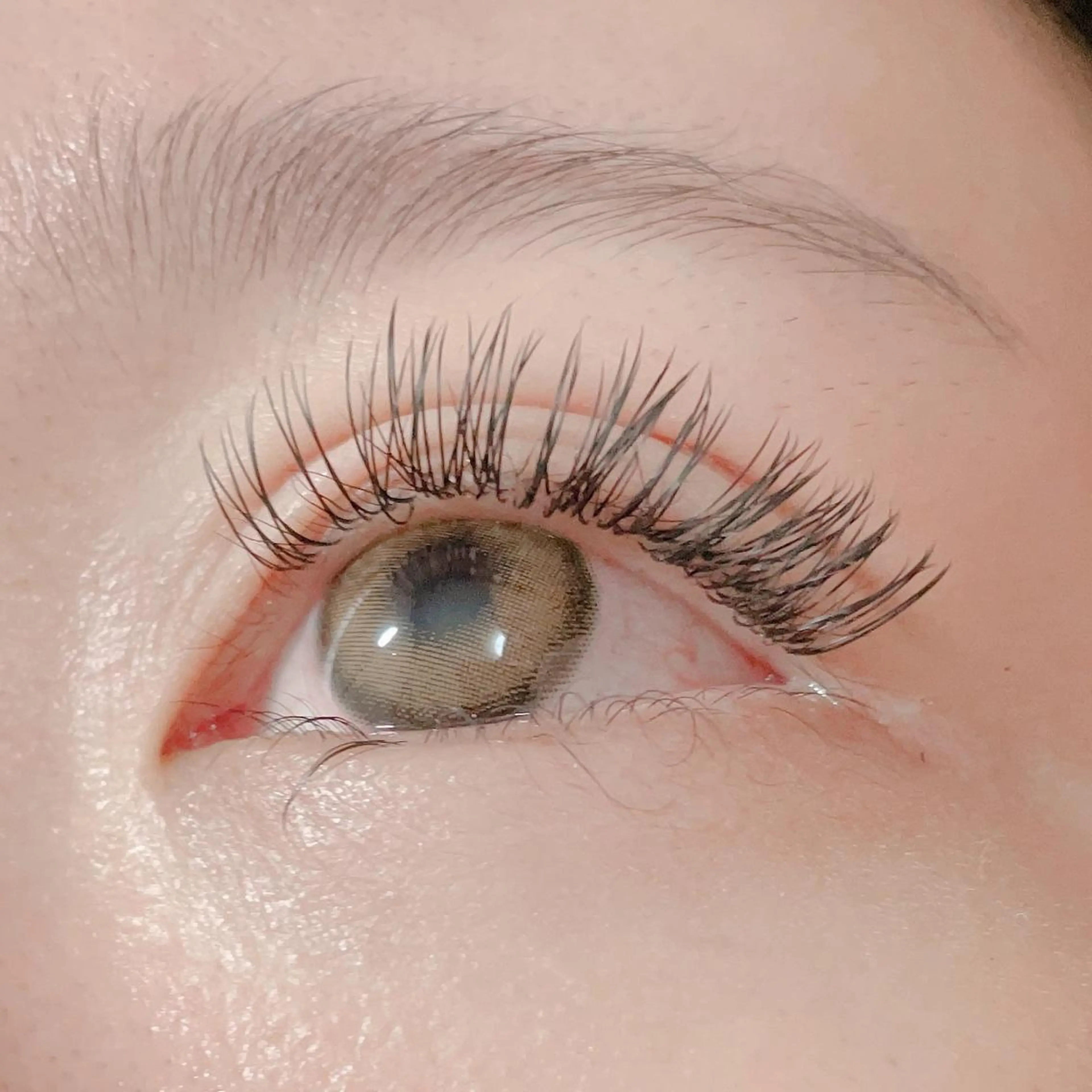 マツエク・マツパ Dカール フラットラッシュ ナチュラル マツエク 🍀fleur🍀 束感/ワンホン/杉浦のマツエク・マツパデザイン