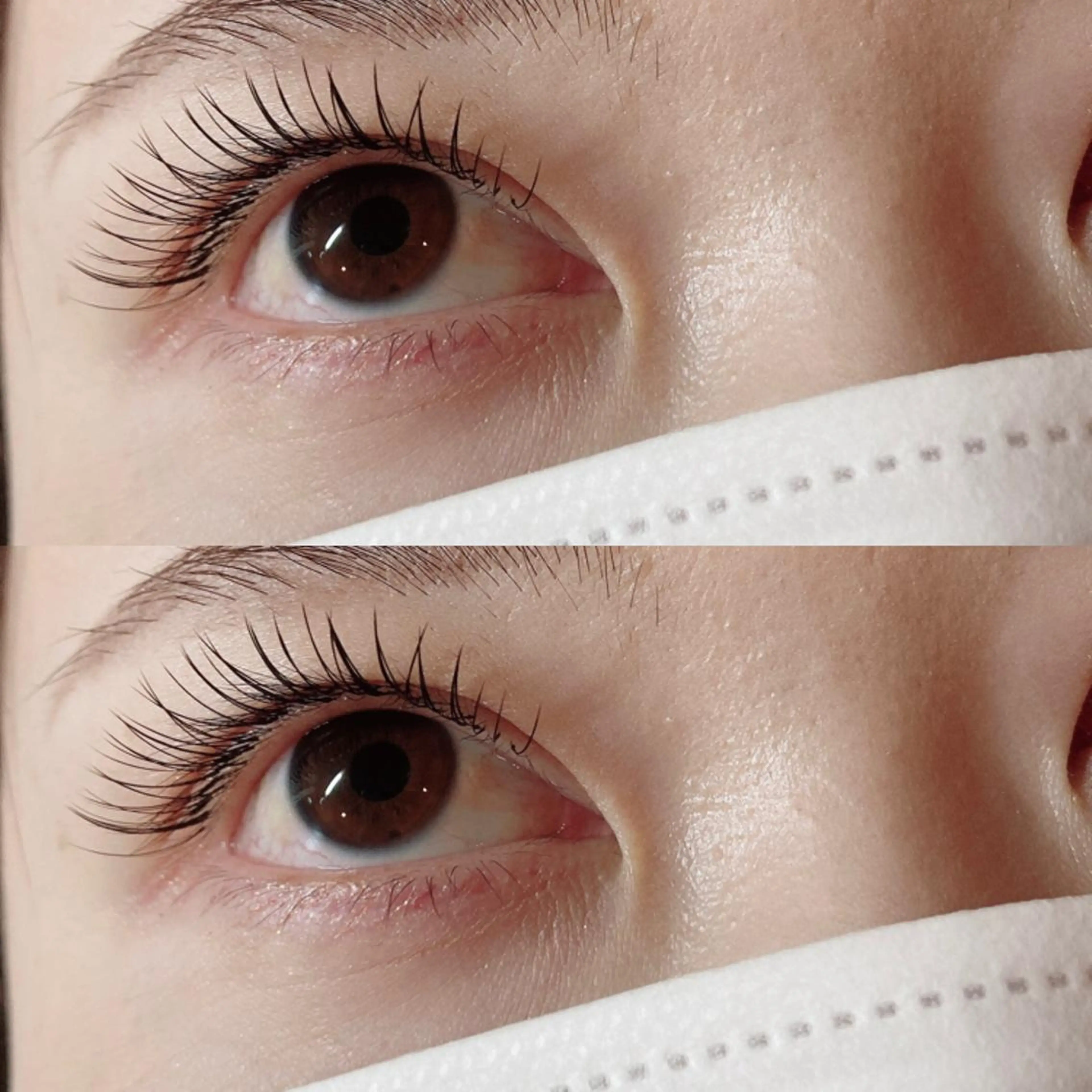 フラットラッシュ付け放題(3シートの組み合わせ自由)の写真