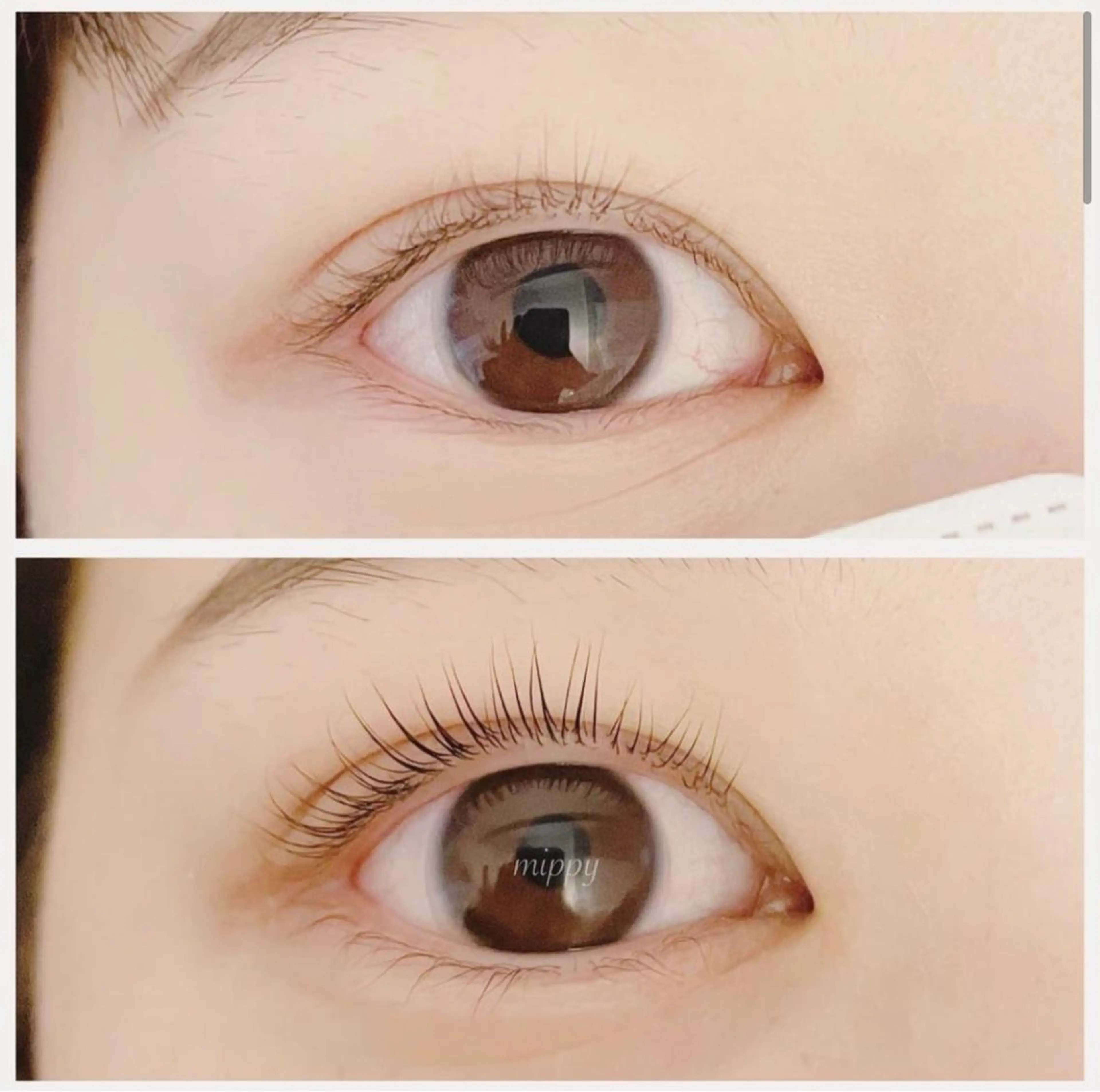 マツエク・マツパ パリジェンヌラッシュリフト ｍｉｐｐｙ 🪽のマツエク・マツパデザイン