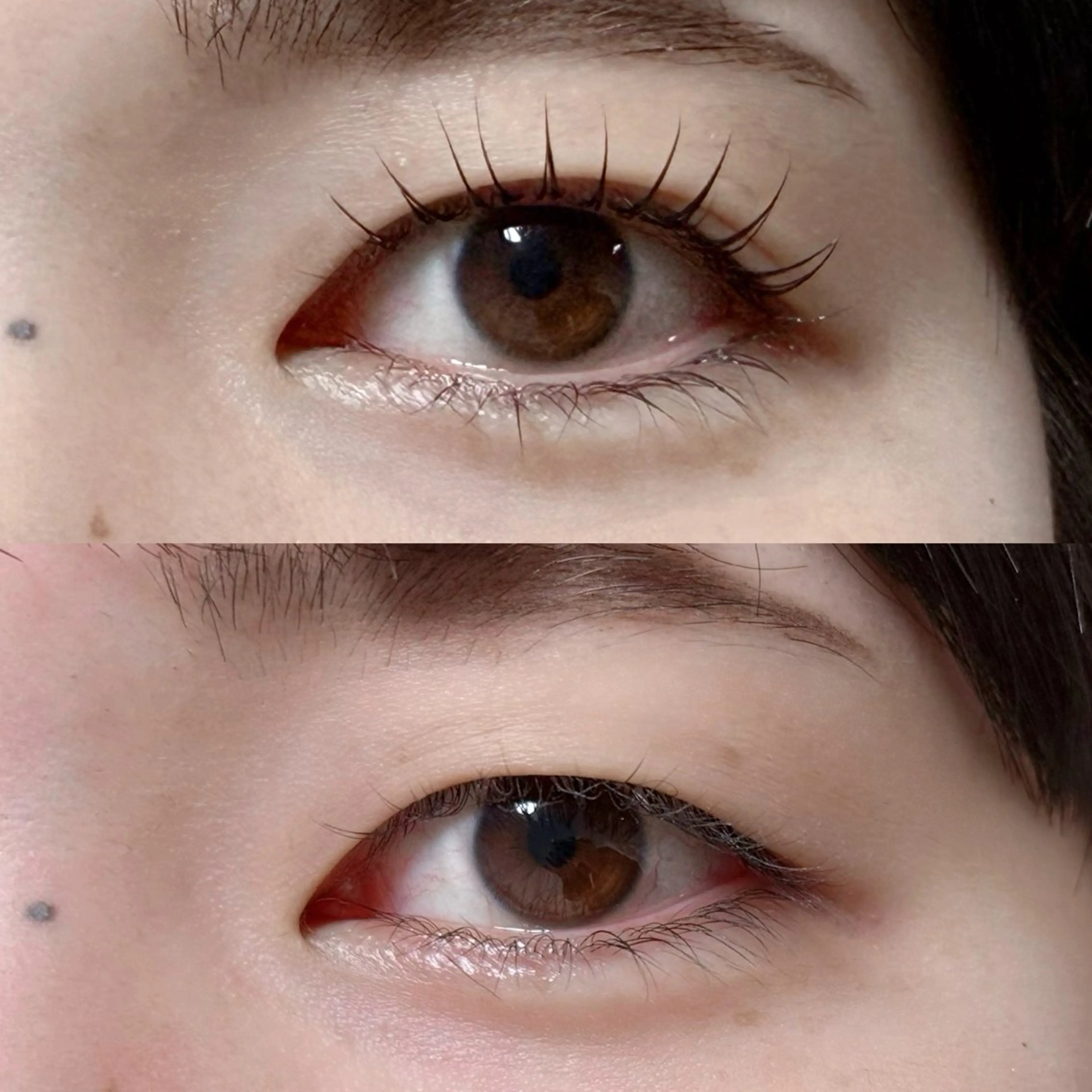 マツエク・マツパ 束感まつ毛 まつげパーマ 🫧推し活前に盛れる 眉まつ毛🫧YURIの眉毛・アイブロウイメージ