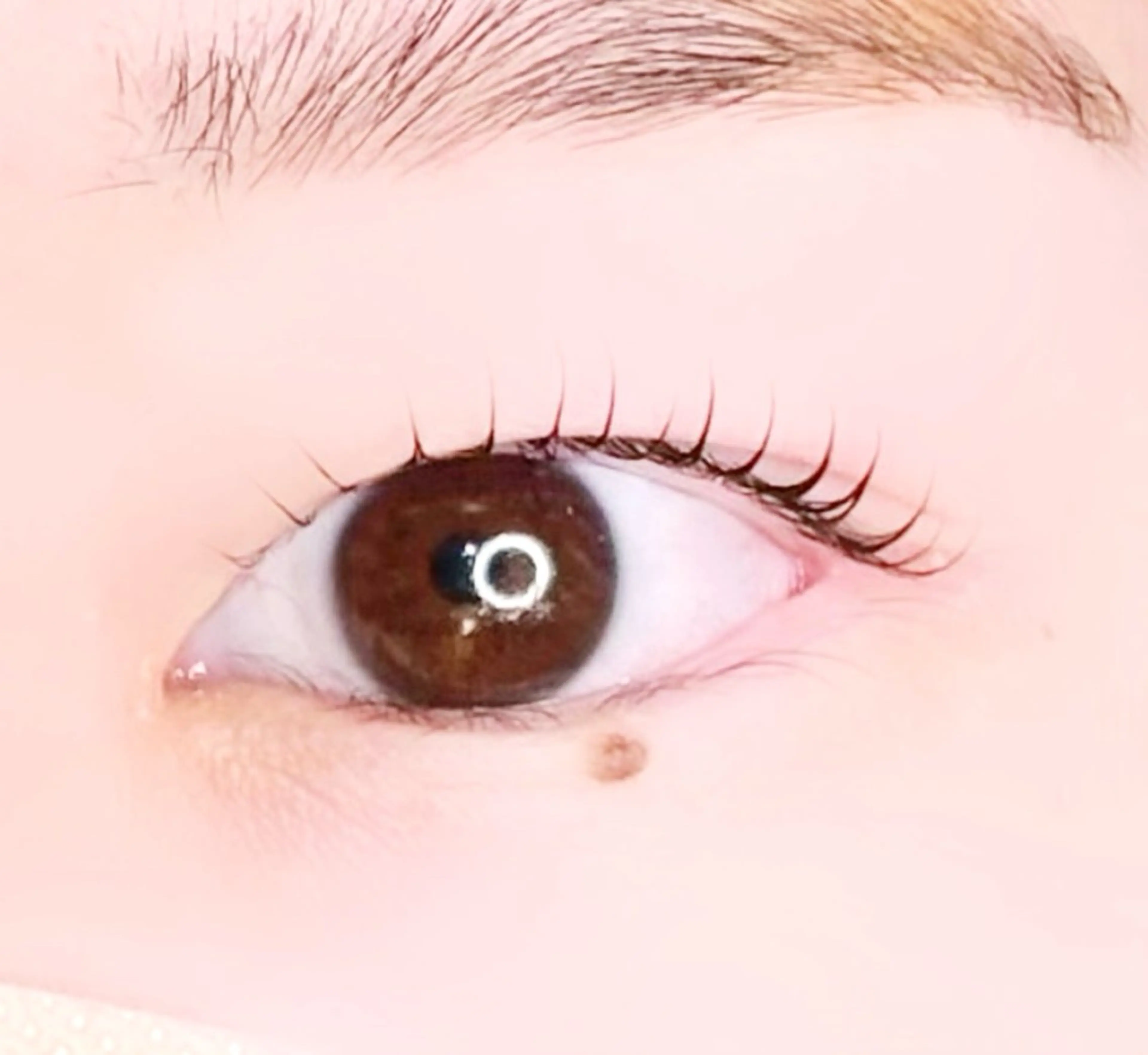 マツエク・マツパ 一重×まつ毛パーマ ‎🪞Be.┊ Miku┊マツパ🌙のマツエク・マツパデザイン