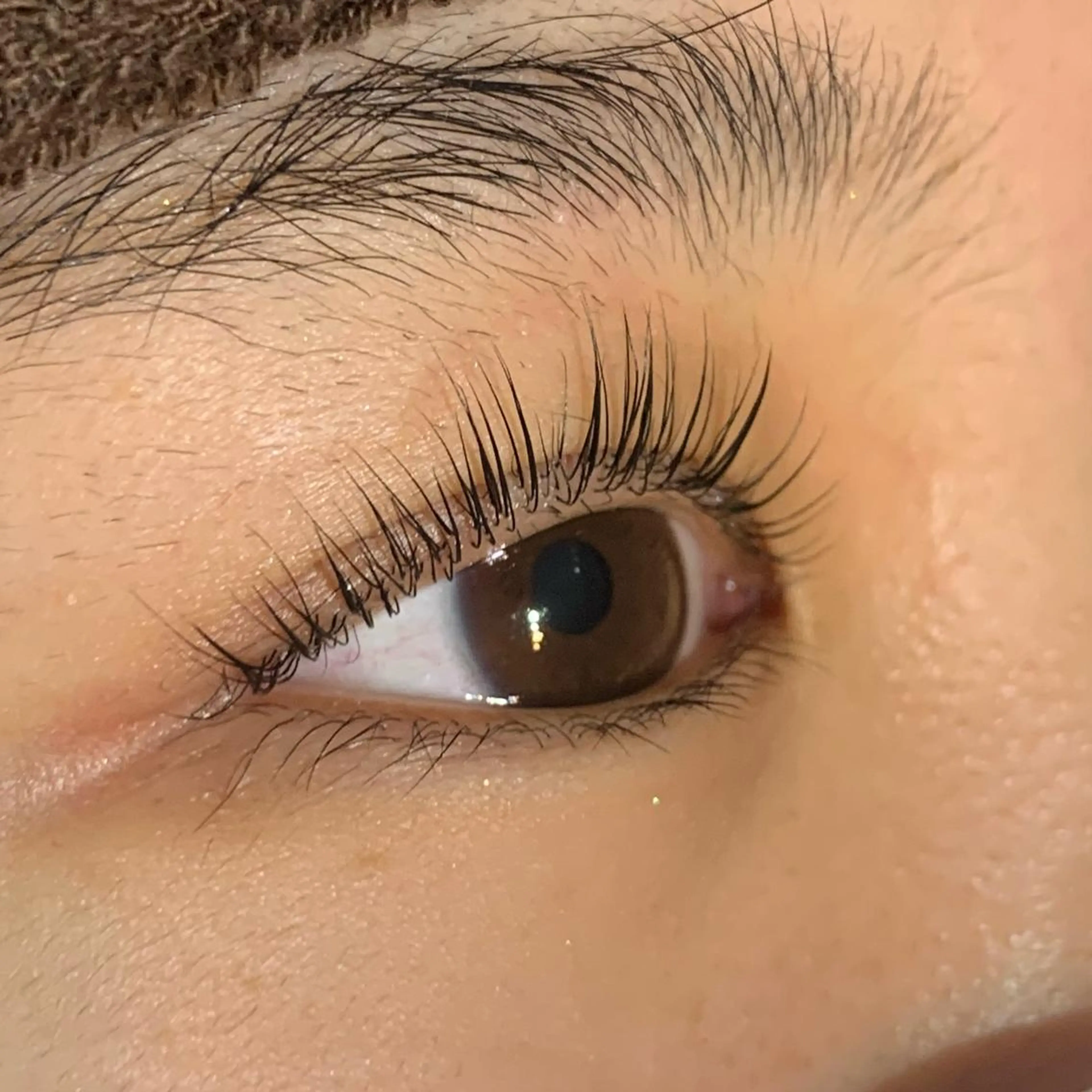 マツエク・マツパ 🧸Celeste Venusのマツエク・マツパデザイン