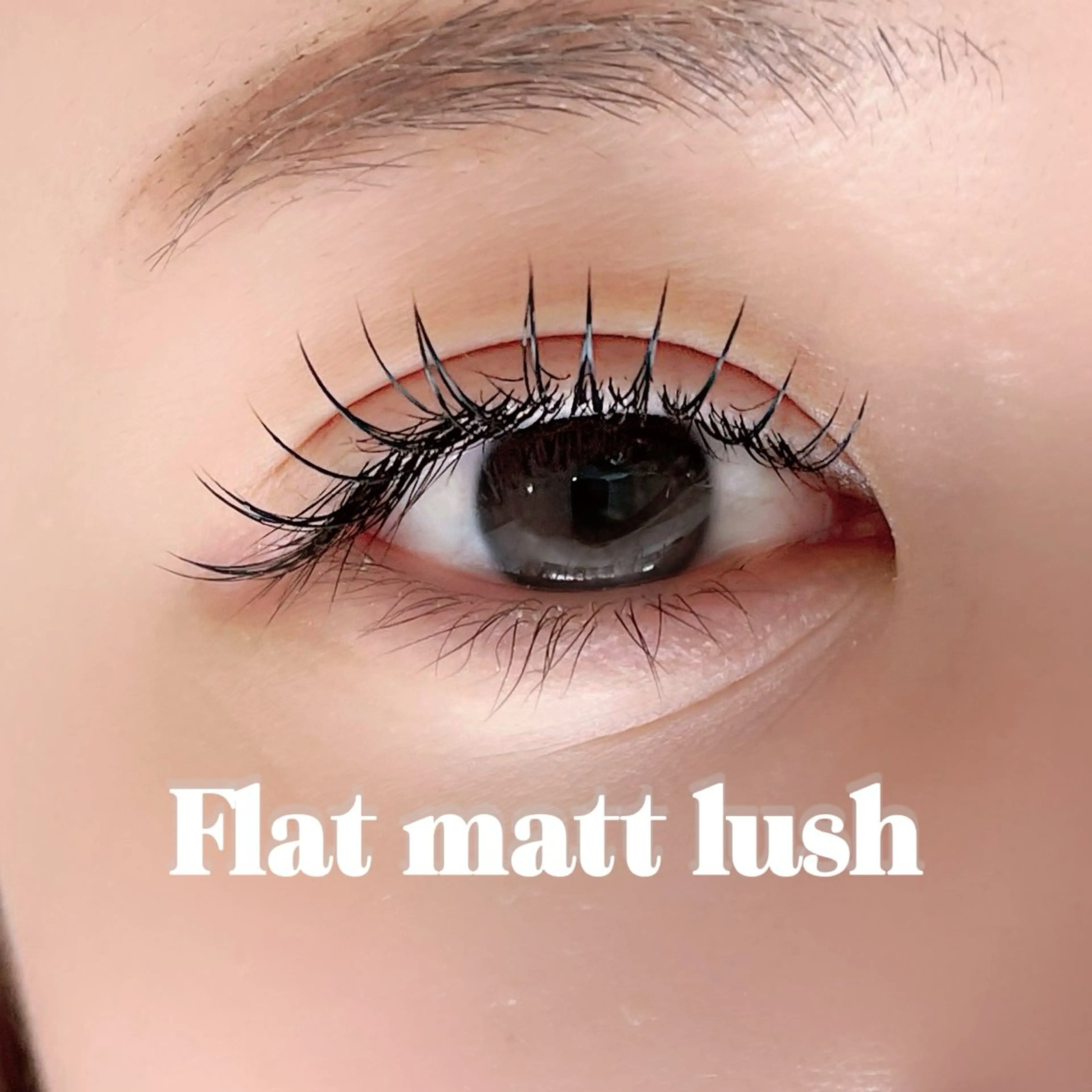 フラットマットラッシュ80本🎀軽さ＆持続力◎ 初めての方におすすめ！の写真