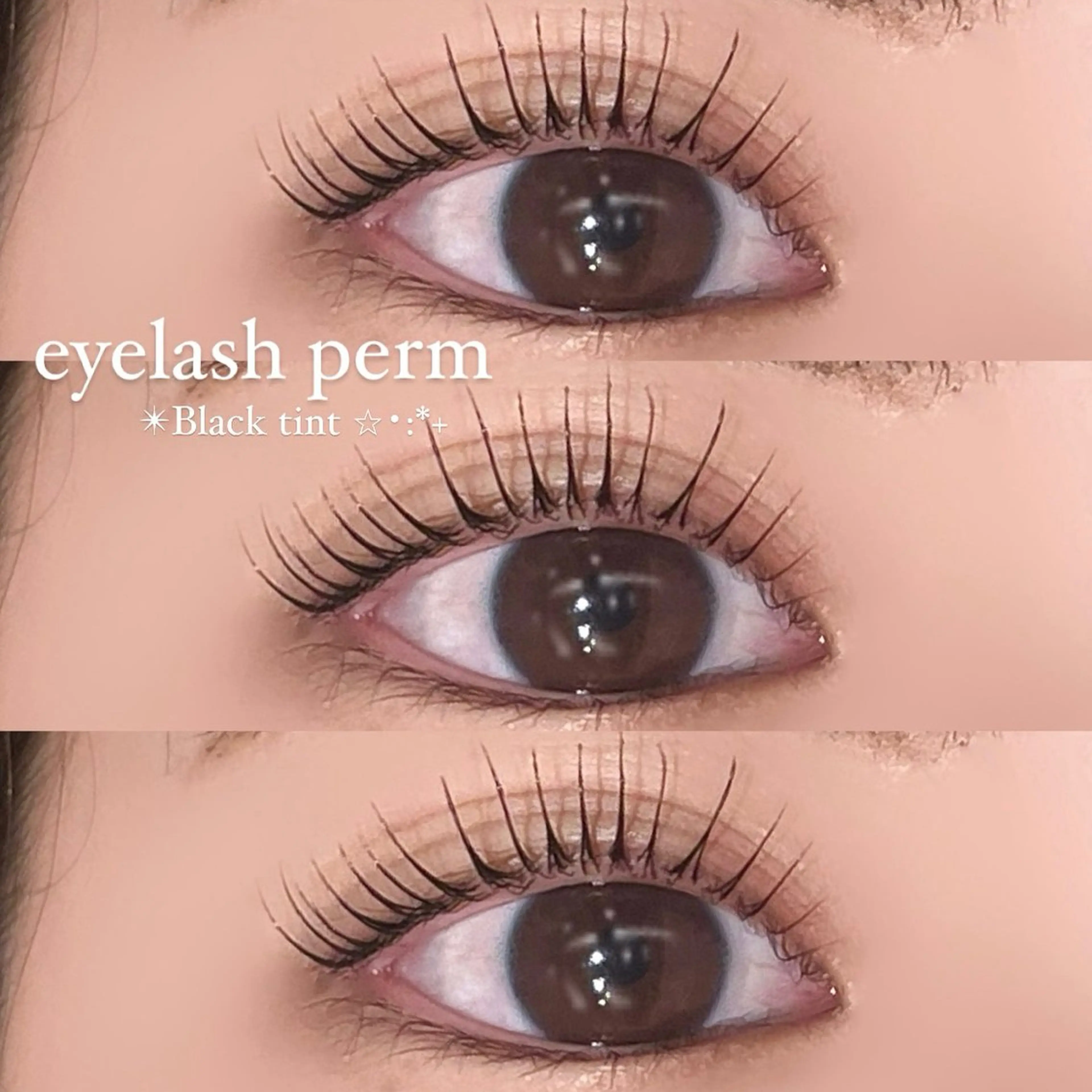 ã4æéå®äŸ¡æ Œð°ð·ð©¶ãéåœãã¹ã«ã©ããŒãïŒããªãžã§ã³ãorã«ãŒã«ã¿ã€ãïŒïŒçŸå®¹æ¶²ä»äžãâšã®åç