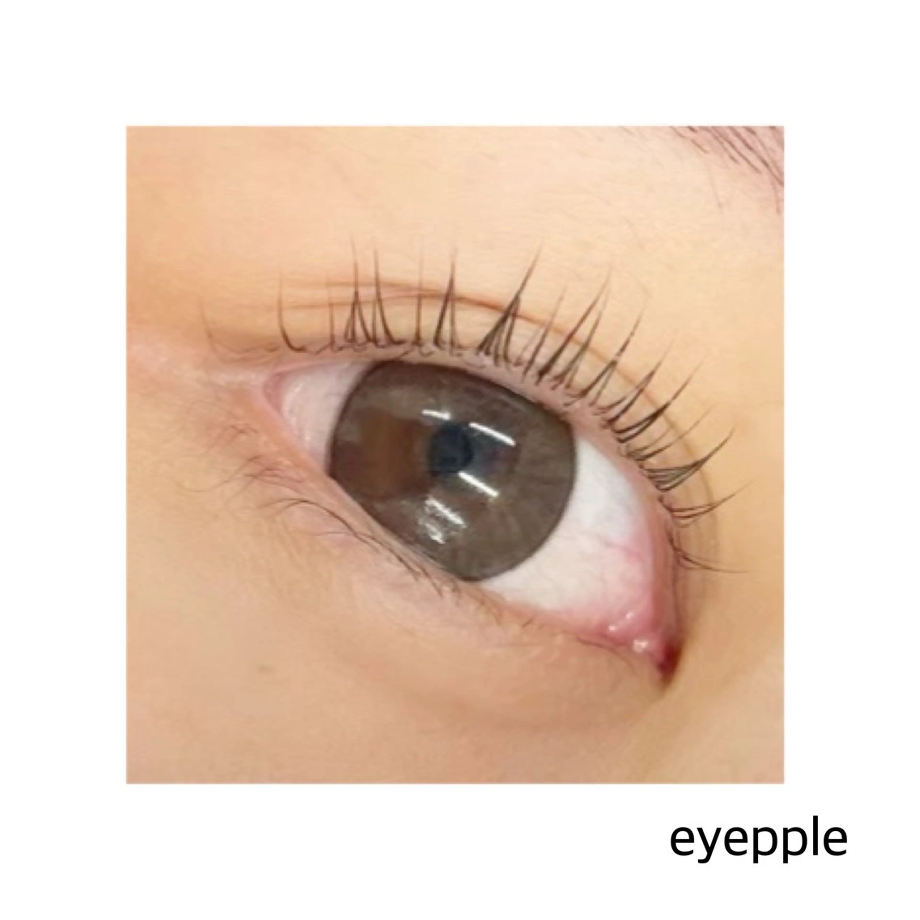 マツエク・マツパ eyepple あやのマツエク・マツパデザイン