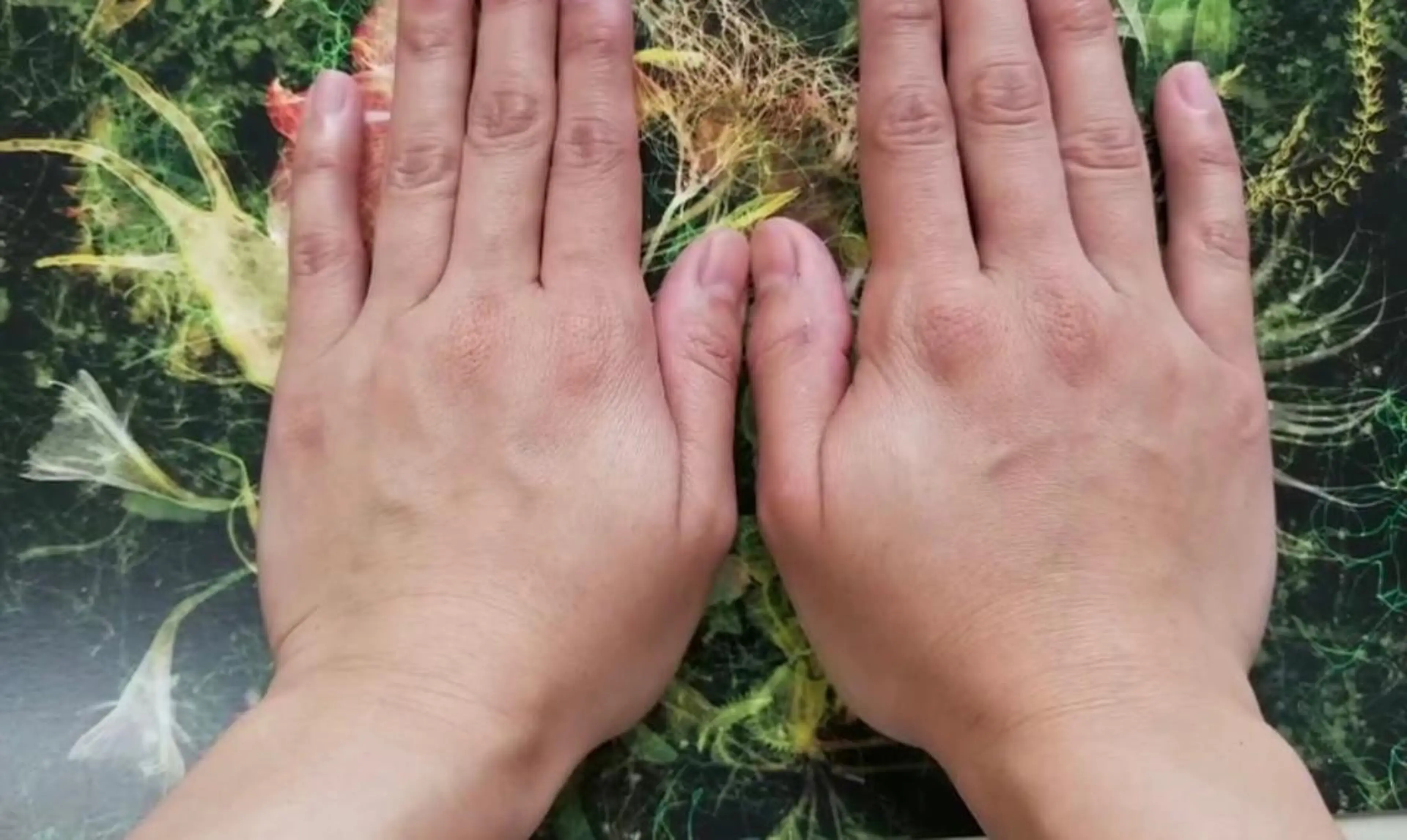 美と癒しのお店OTOHA 2nd所属・OTOHA 2nd ：yanoのエステ・リラクイメージ