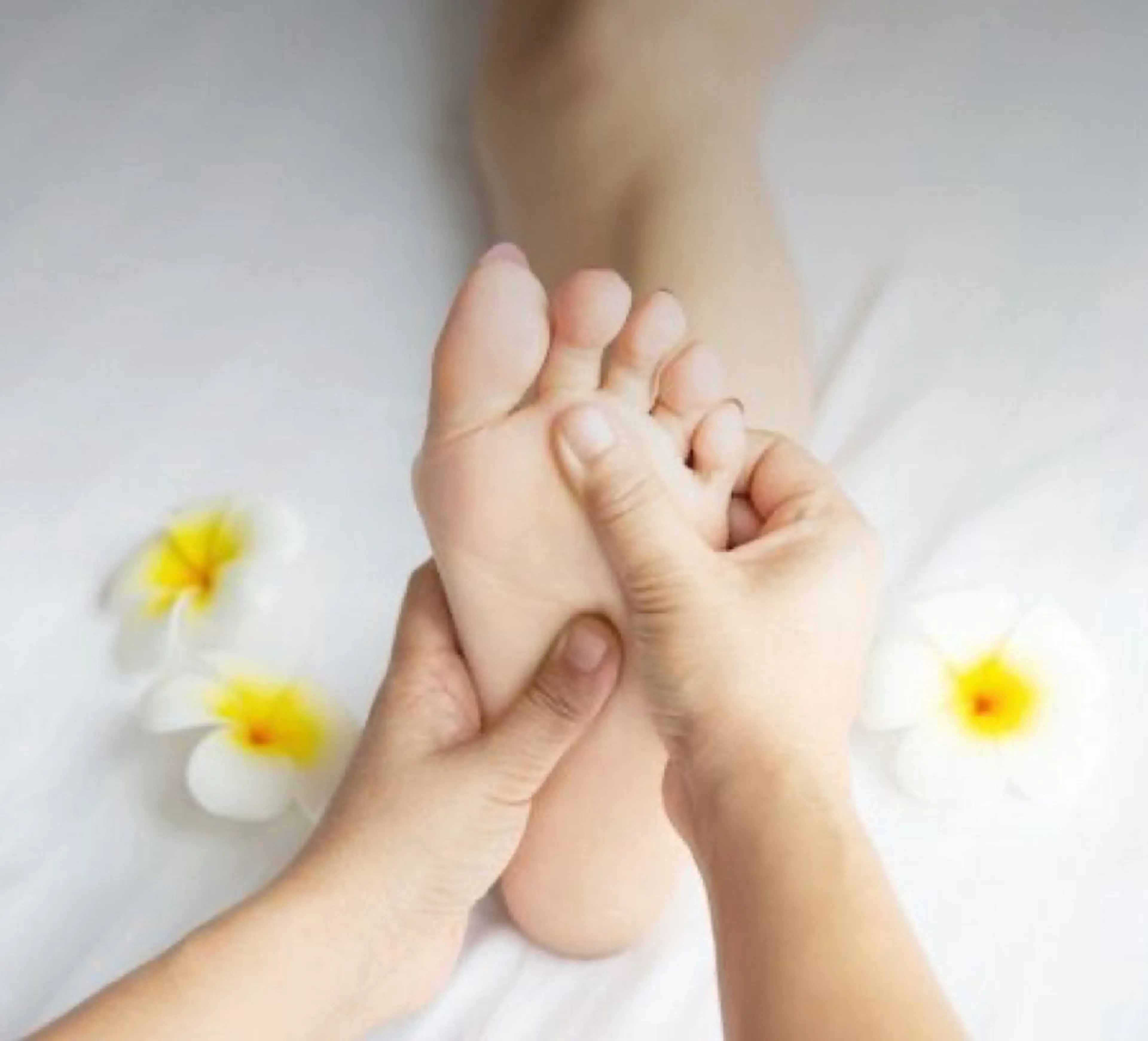 めぐらせの 森のその他イメージ