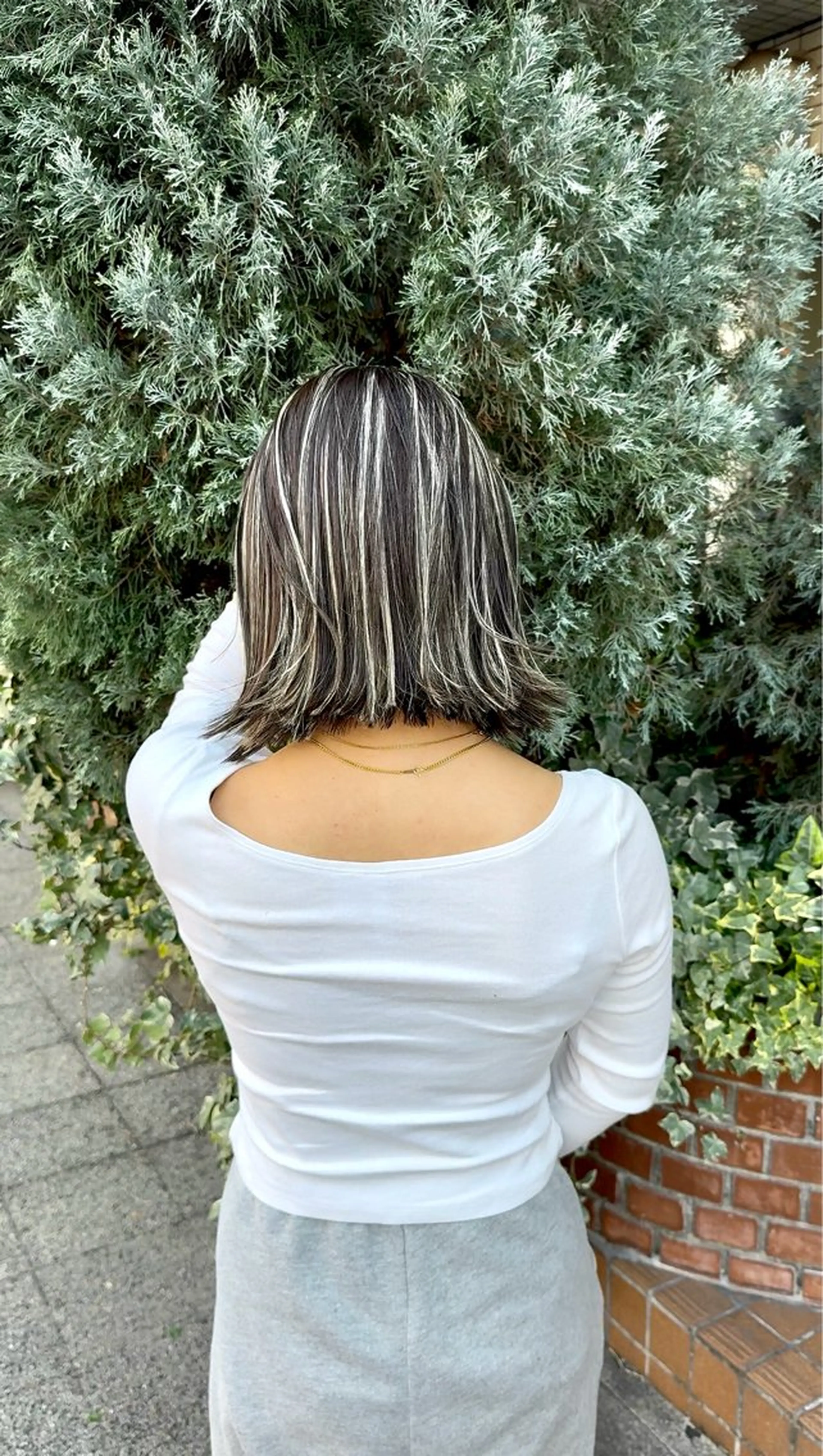 ミディアム カラー ハイライトカラー 3Dハイライト ハイライト 🌈ハイライト特化 🌈 🐶ノザワ🐶のヘアスタイル