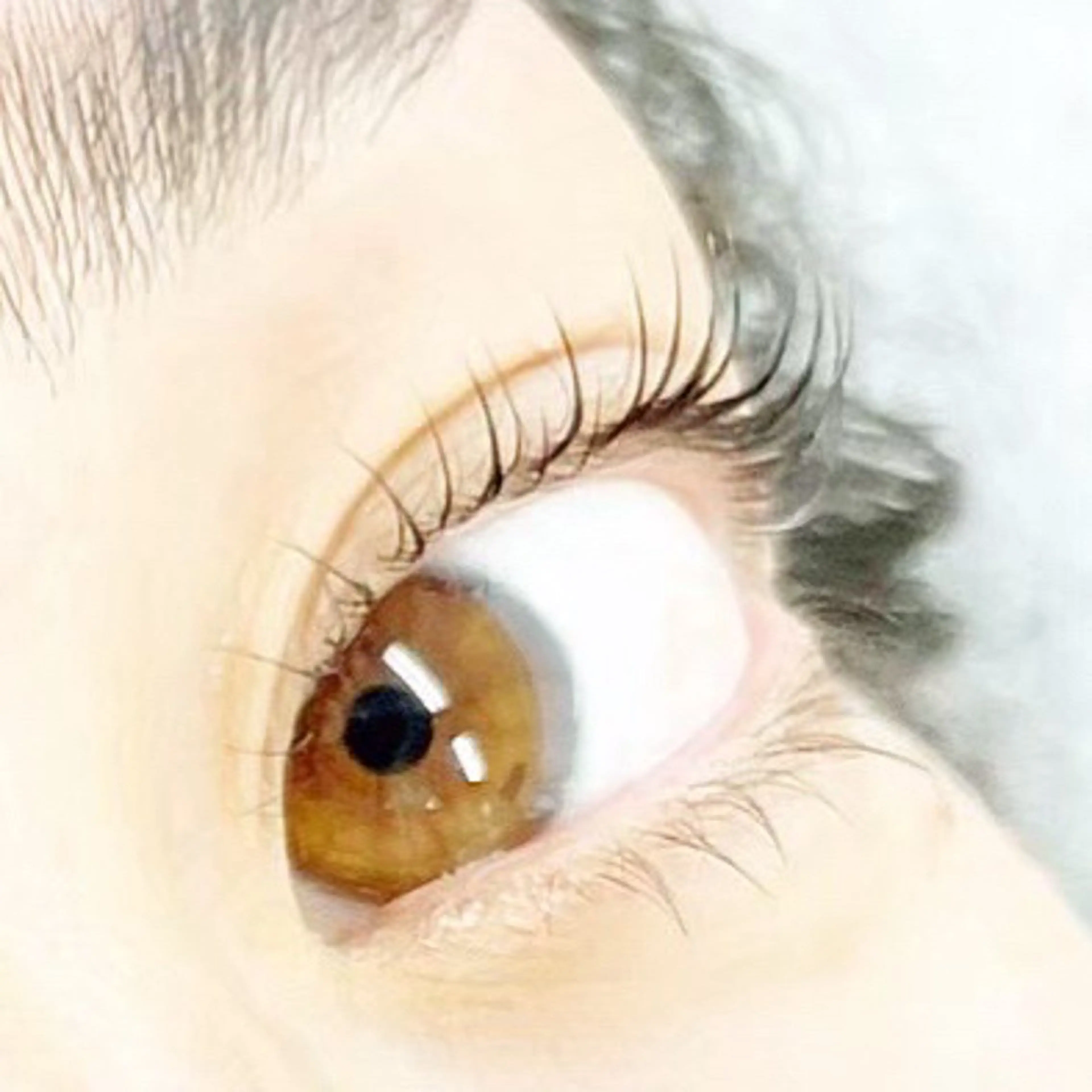 マツエク・マツパ eyelash- r🌹の眉毛・アイブロウイメージ