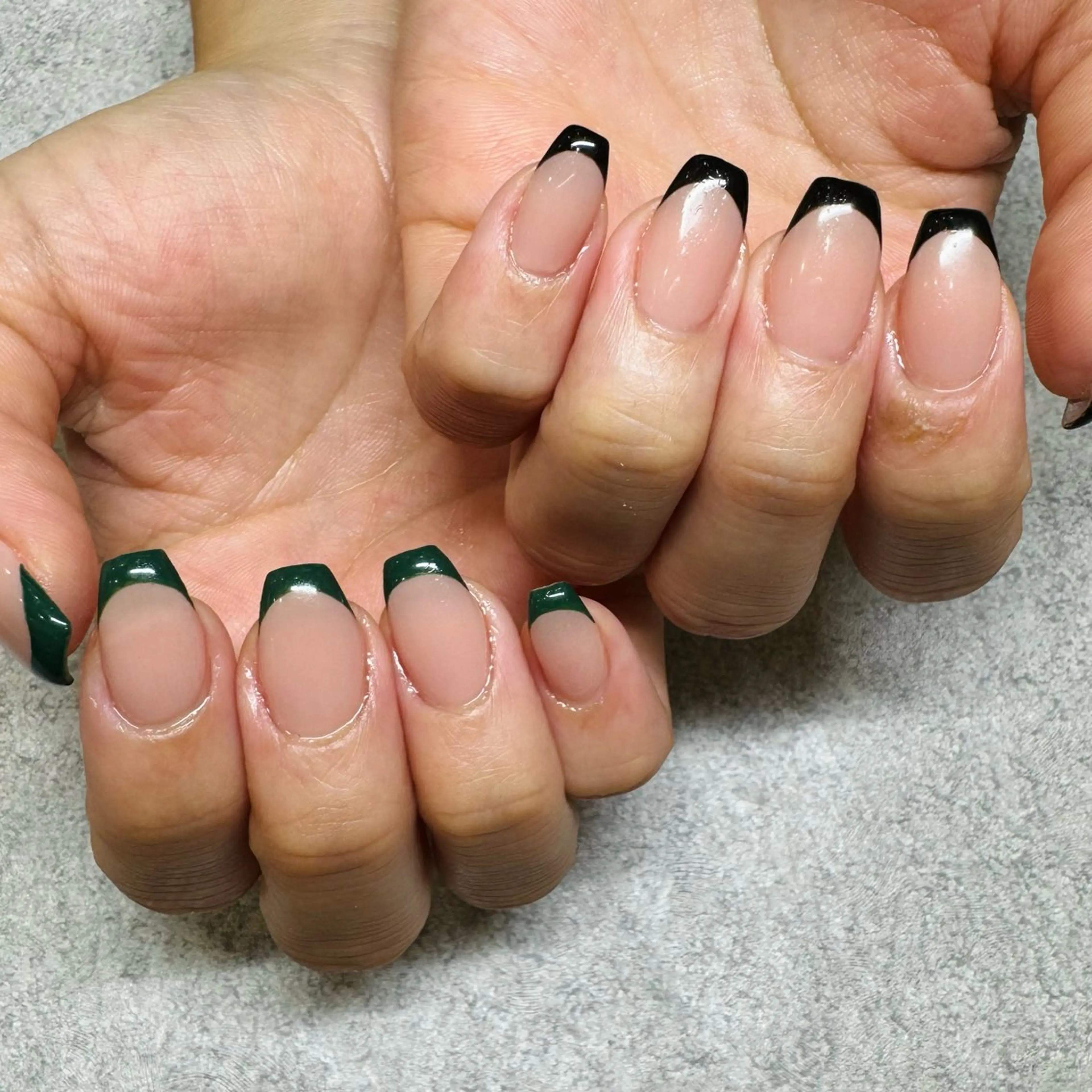 フレンチ(オフあり)の写真