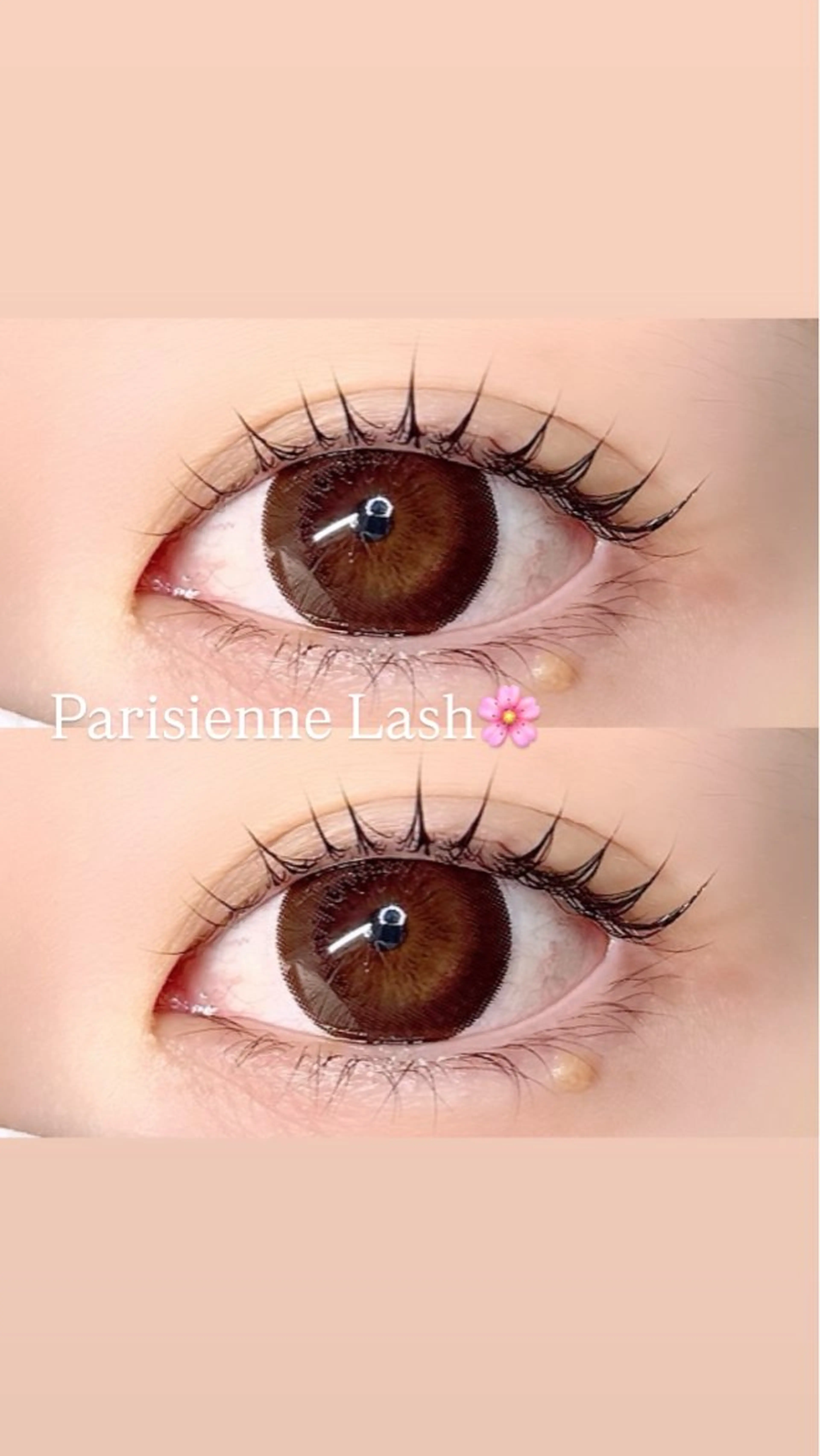 マツエク・マツパ マツパ 🩰yuri🩰 似合わせ/束感のマツエク・マツパデザイン