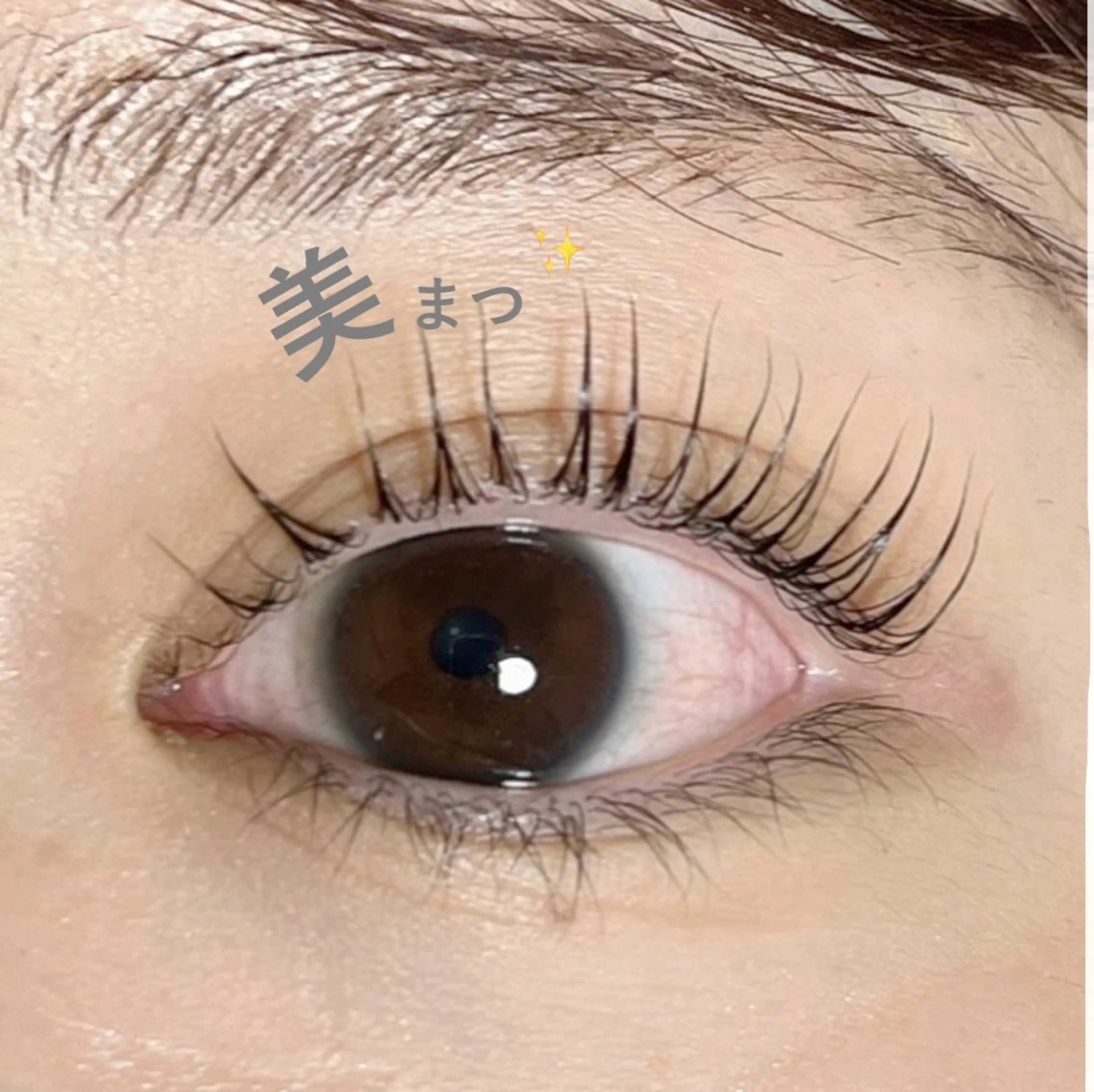 マツエク・マツパ パリジェンヌラッシュリフト まつげパーマ 🧸 Emiri🫧のマツエク・マツパデザイン