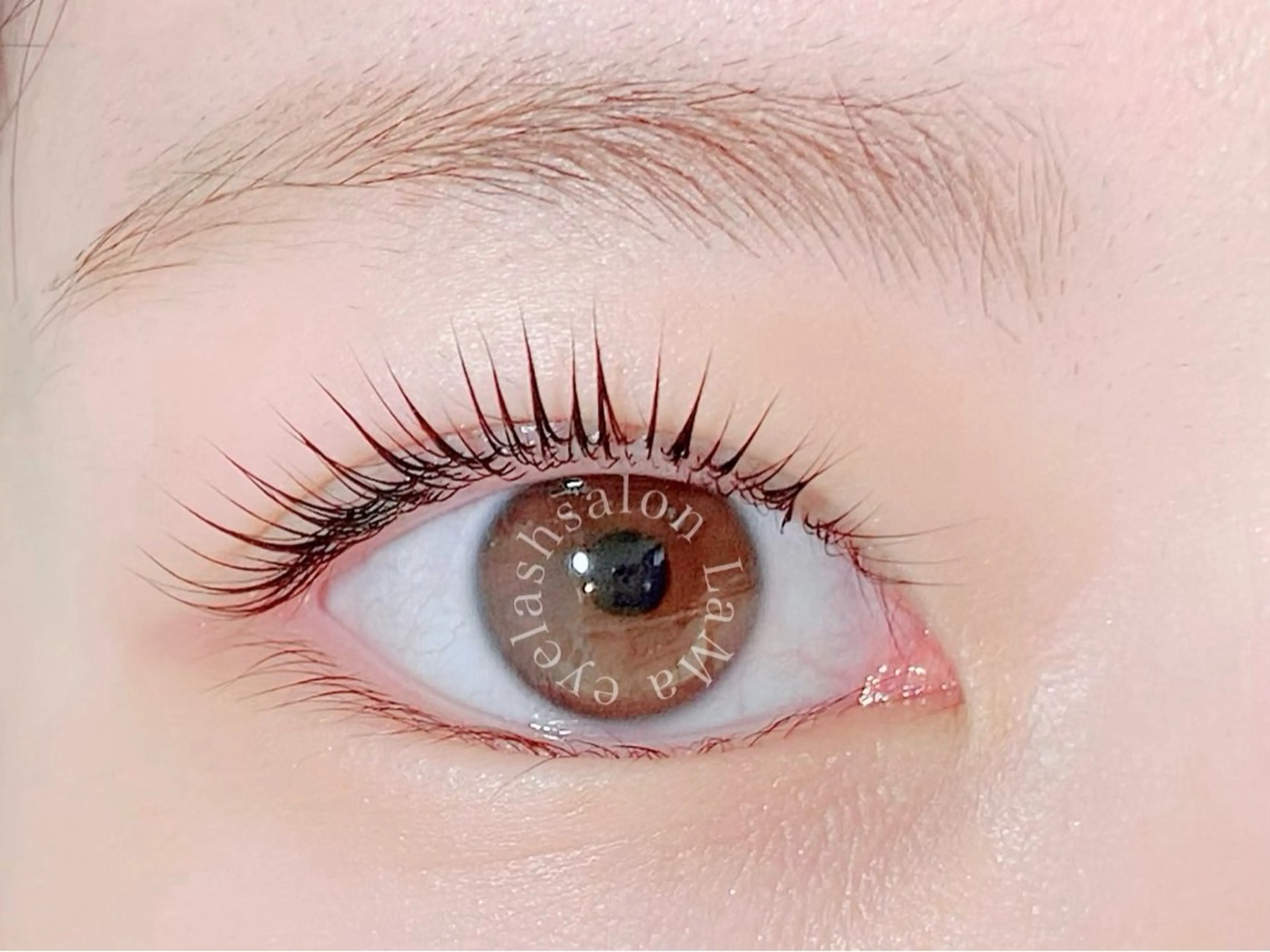 マツエク・マツパ パリジェンヌラッシュリフト マツパ LaMa Nのマツエク・マツパデザイン