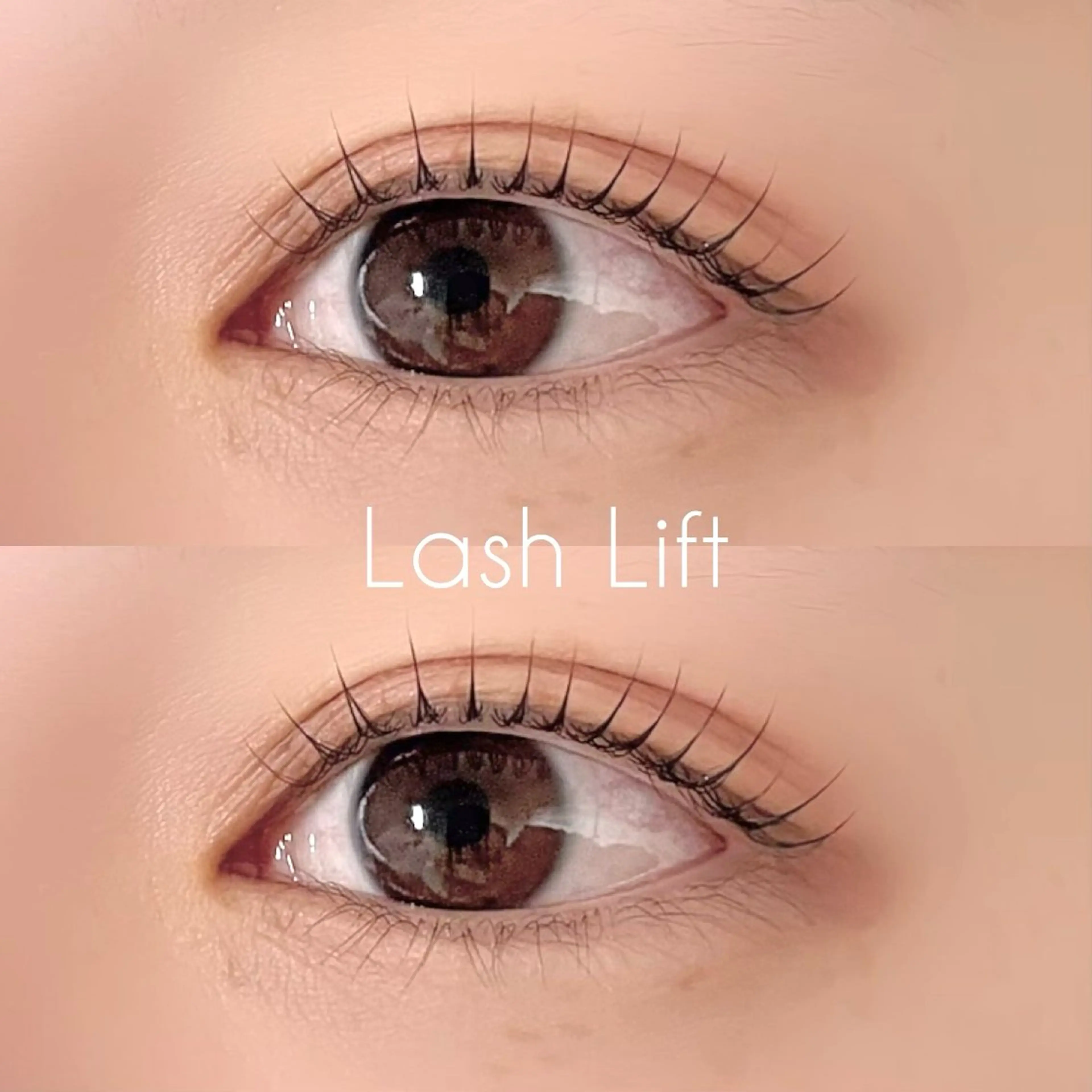 【 minimo限定価格❕】下まつ毛パーマの写真