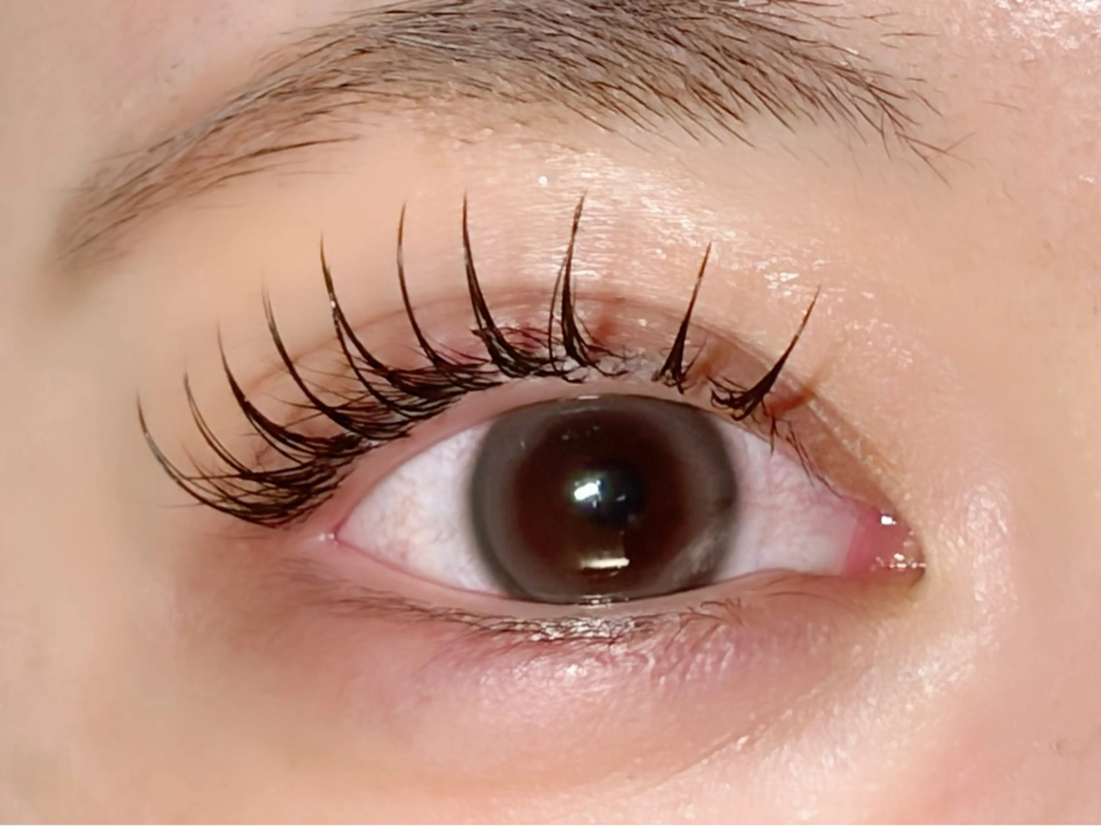 フラットマットラッシュ８０本💘 《オフ付き、コーティング付き》の写真