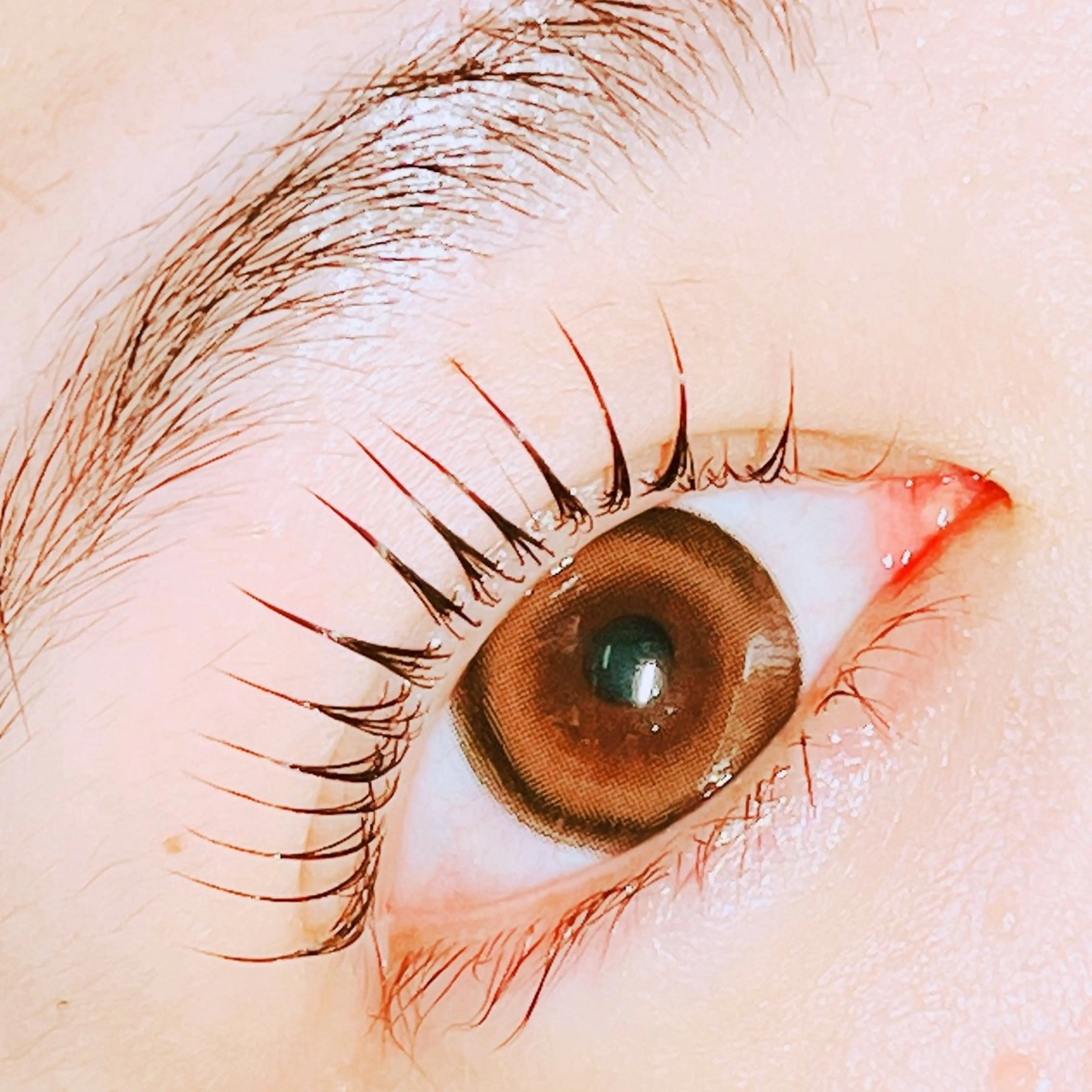 マツエク・マツパ ka pilina 木内愛美のマツエク・マツパデザイン