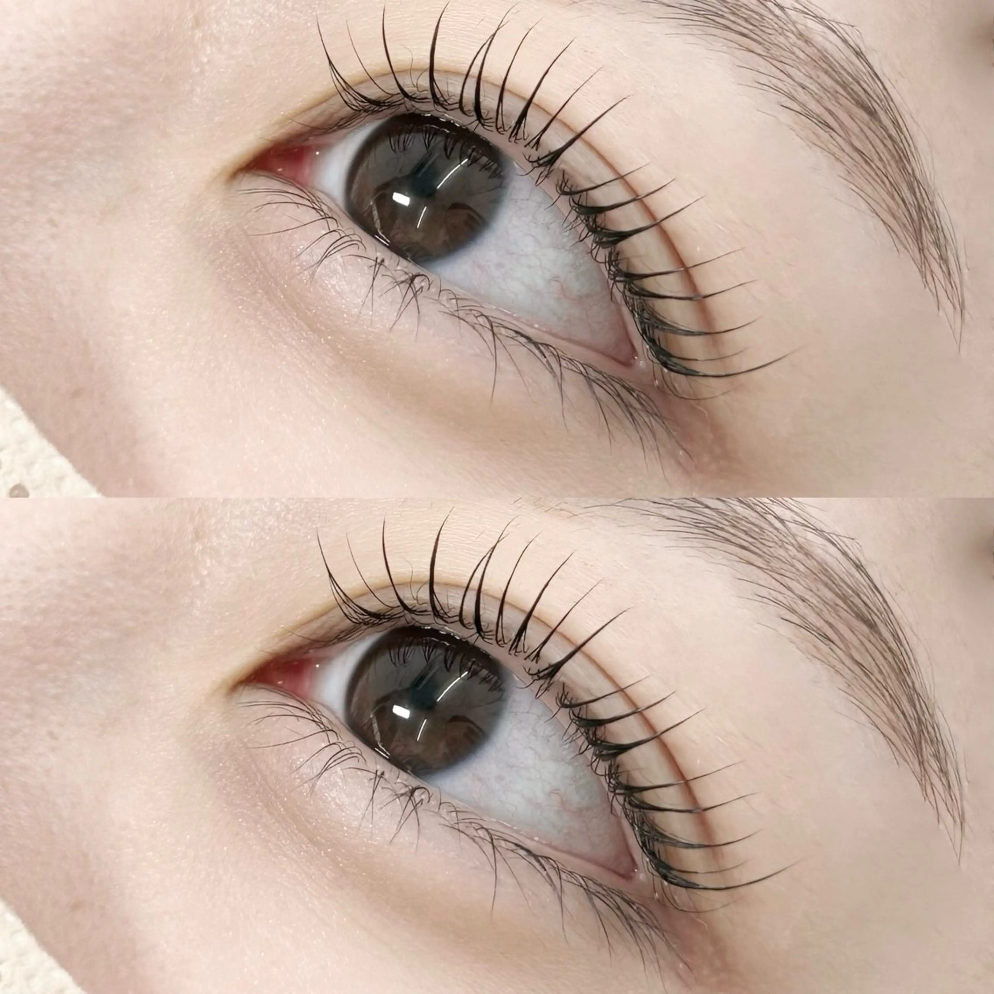 マツエク・マツパ マツパ LuLu / まつパ 🥀akaneのマツエク・マツパデザイン