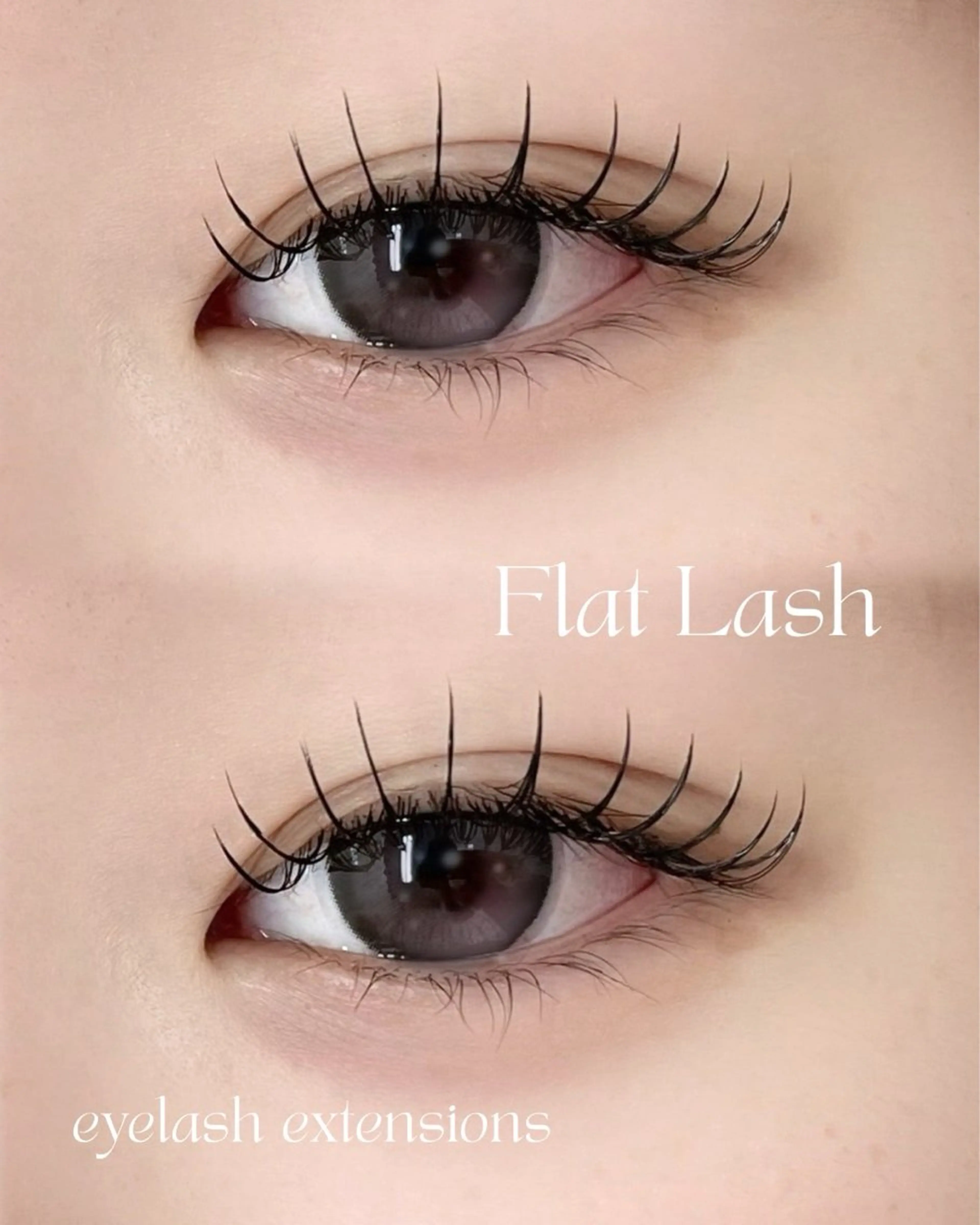 バインドロック★ダブルフラット100​〜​120束（オフ無料）の写真