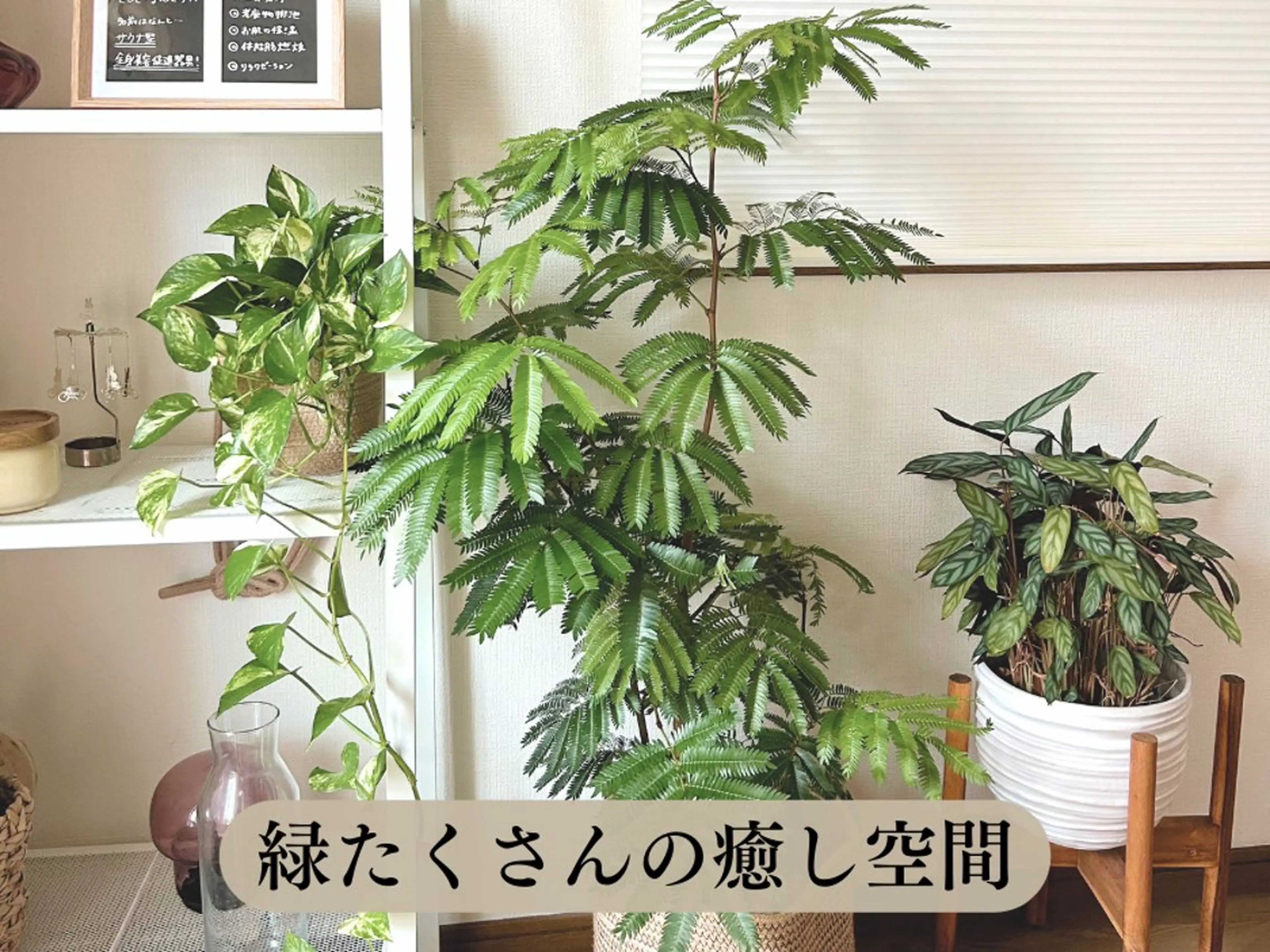 【目黒】本格痩身✴︎ 最新型よもぎ蒸しのエステ・リラクイメージ