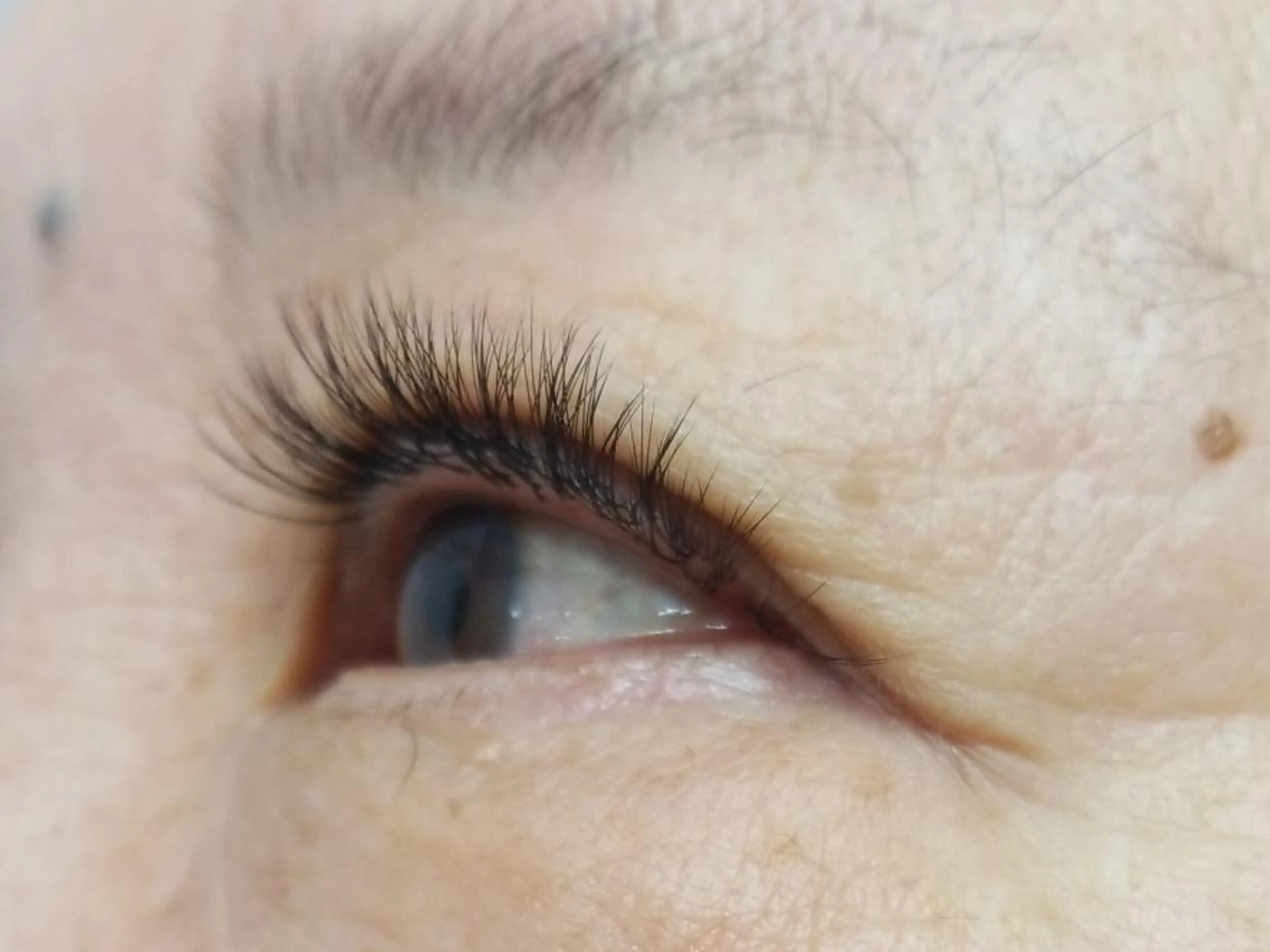 ボリュームラッシュ+フラットラッシュ(オフ有り)※コーティング付きの写真