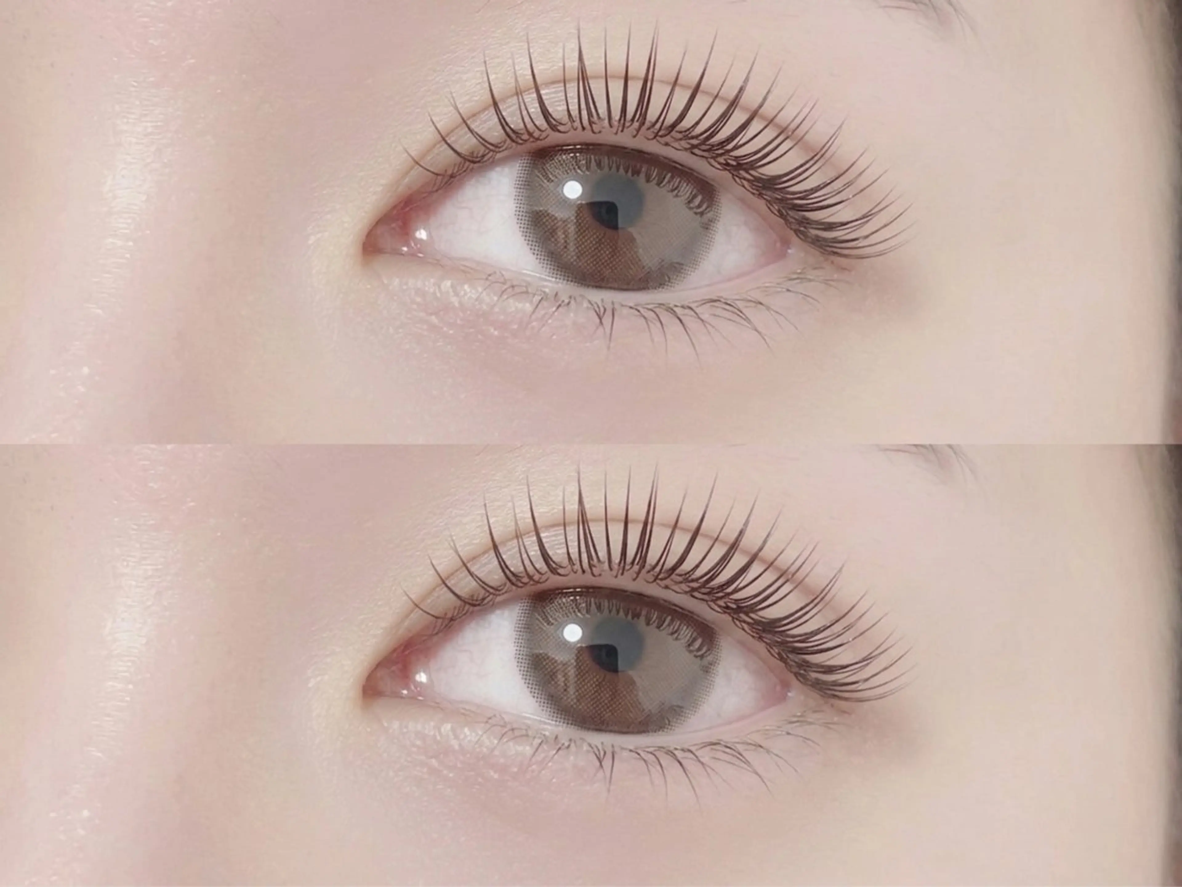 マツエク・マツパ パリジェンヌラッシュリフト マツパ 💎マツエク/眉毛 パリジェンヌ渋谷💎の眉毛・アイブロウイメージ