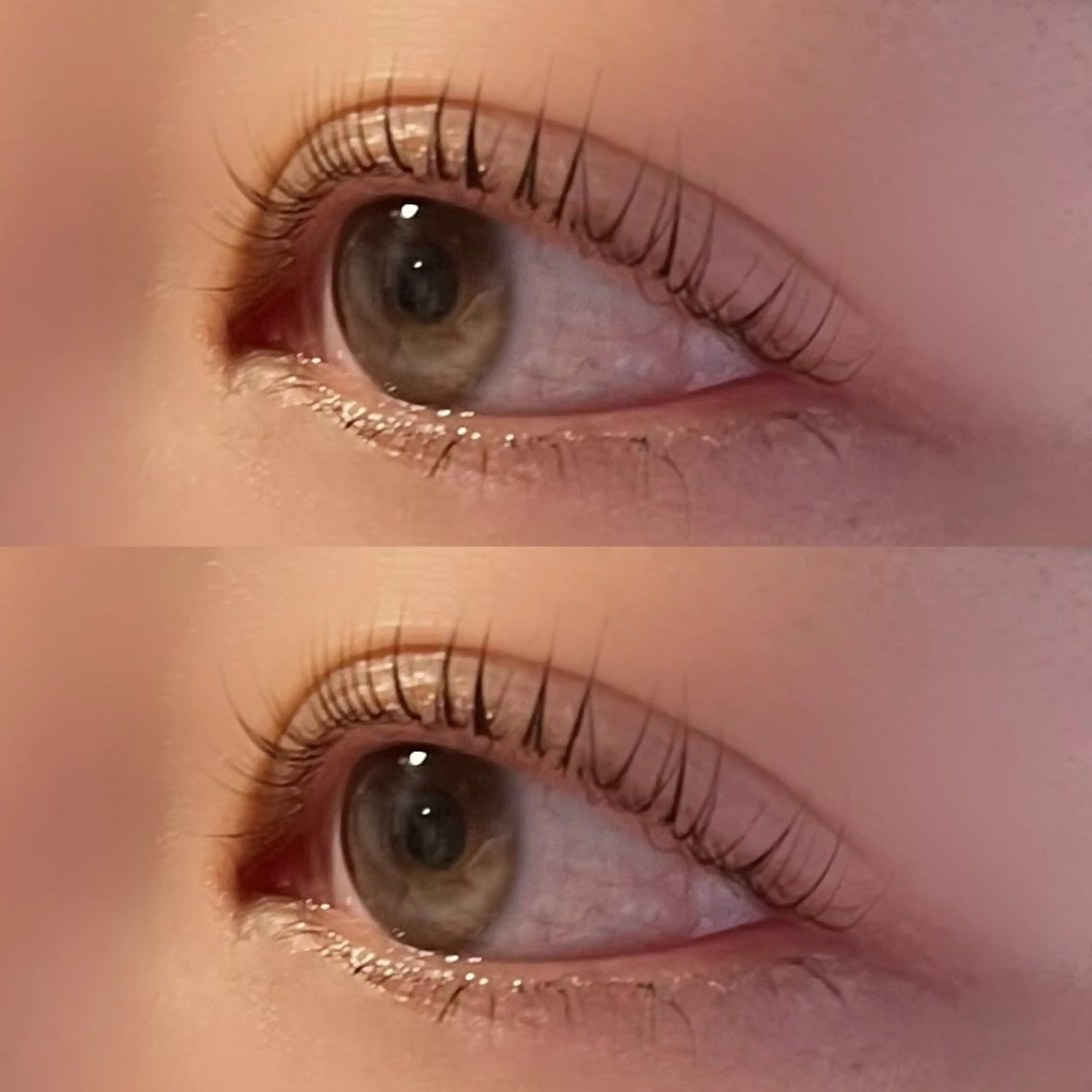 マツエク・マツパ 🤍 rinka🤍のマツエク・マツパデザイン