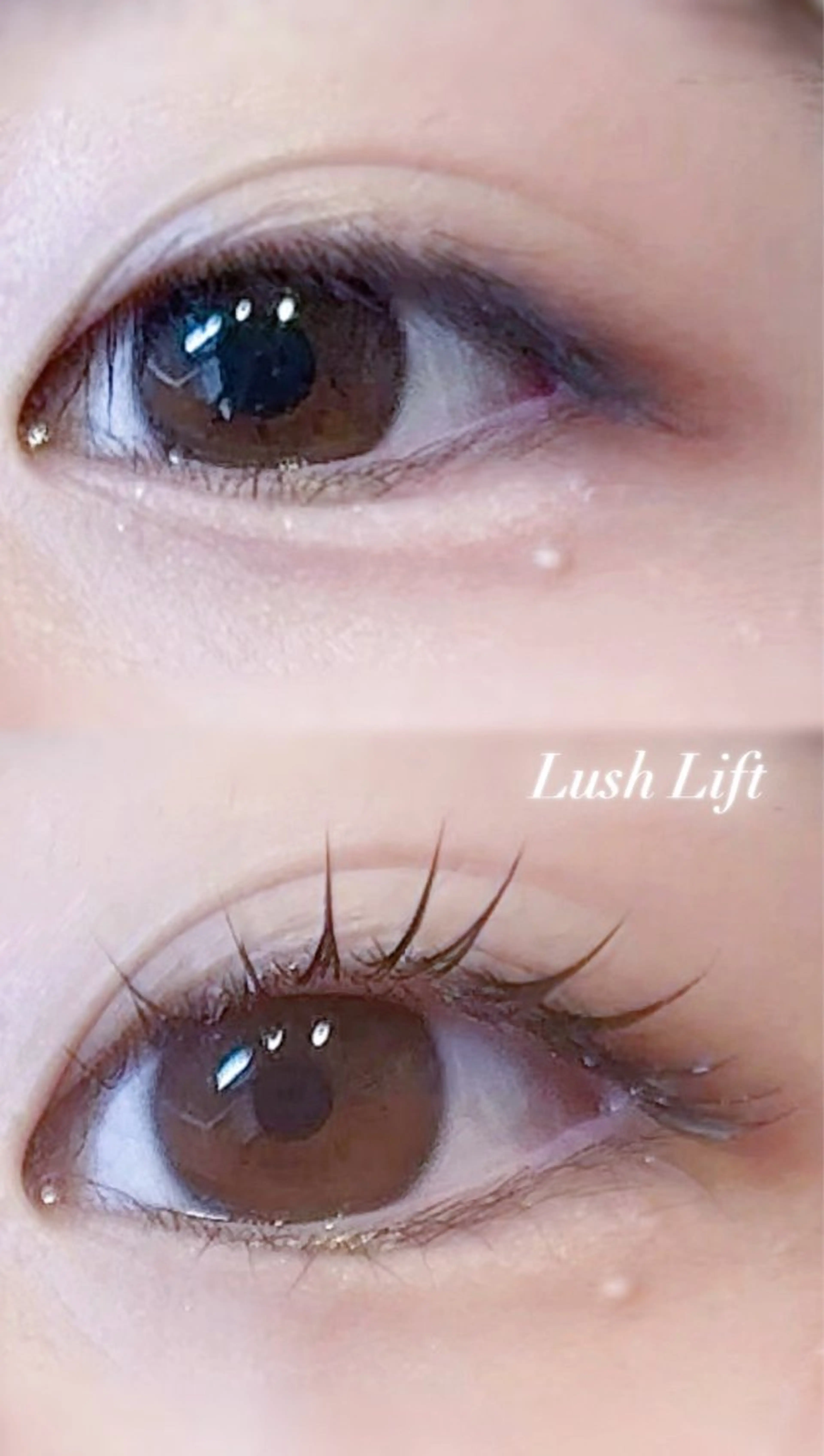 マツエク・マツパ マツパ ELRe MIUのマツエク・マツパデザイン