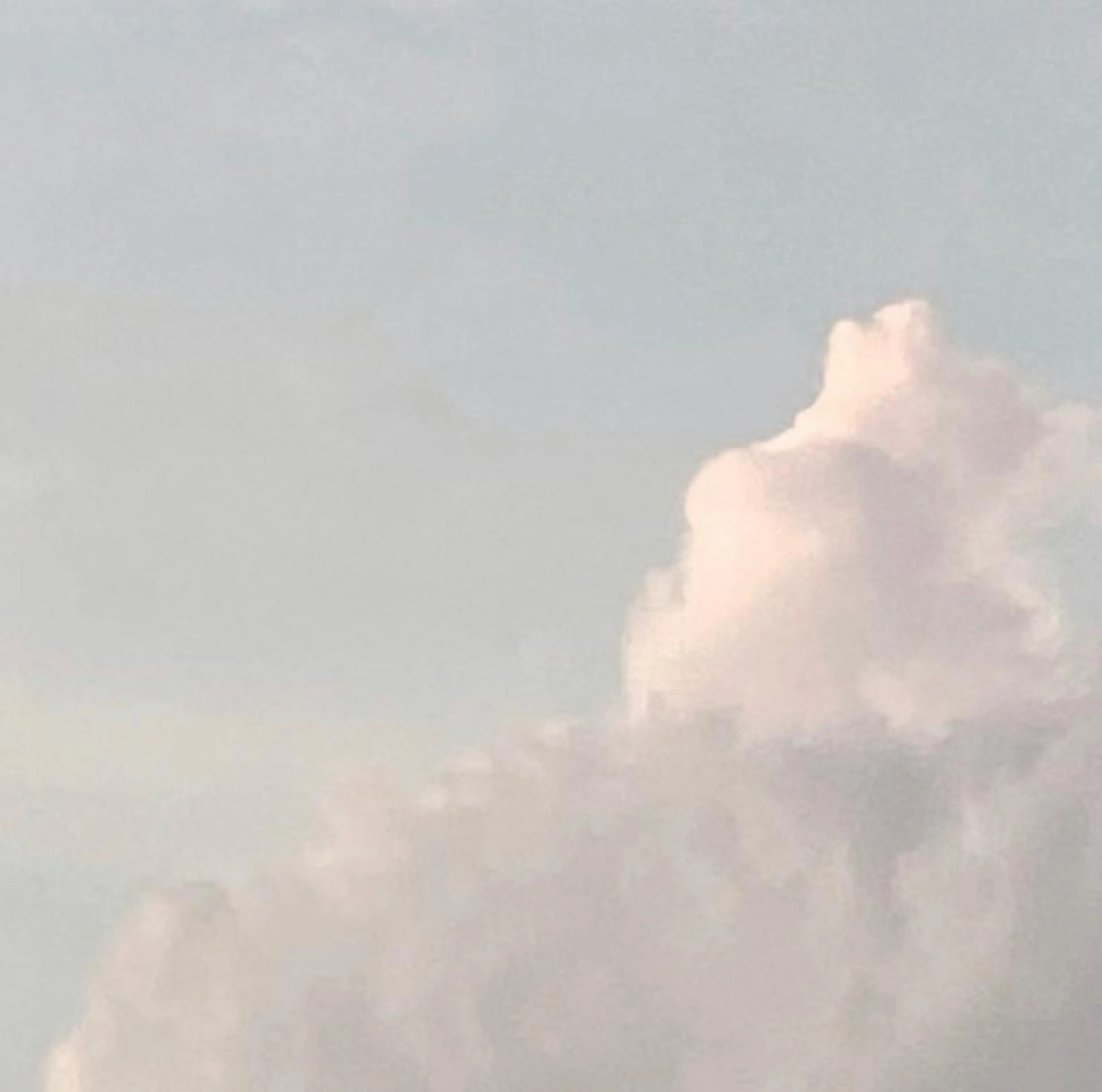 Moon(ムーン)所属・moon 梶本のマツエク・マツパデザイン