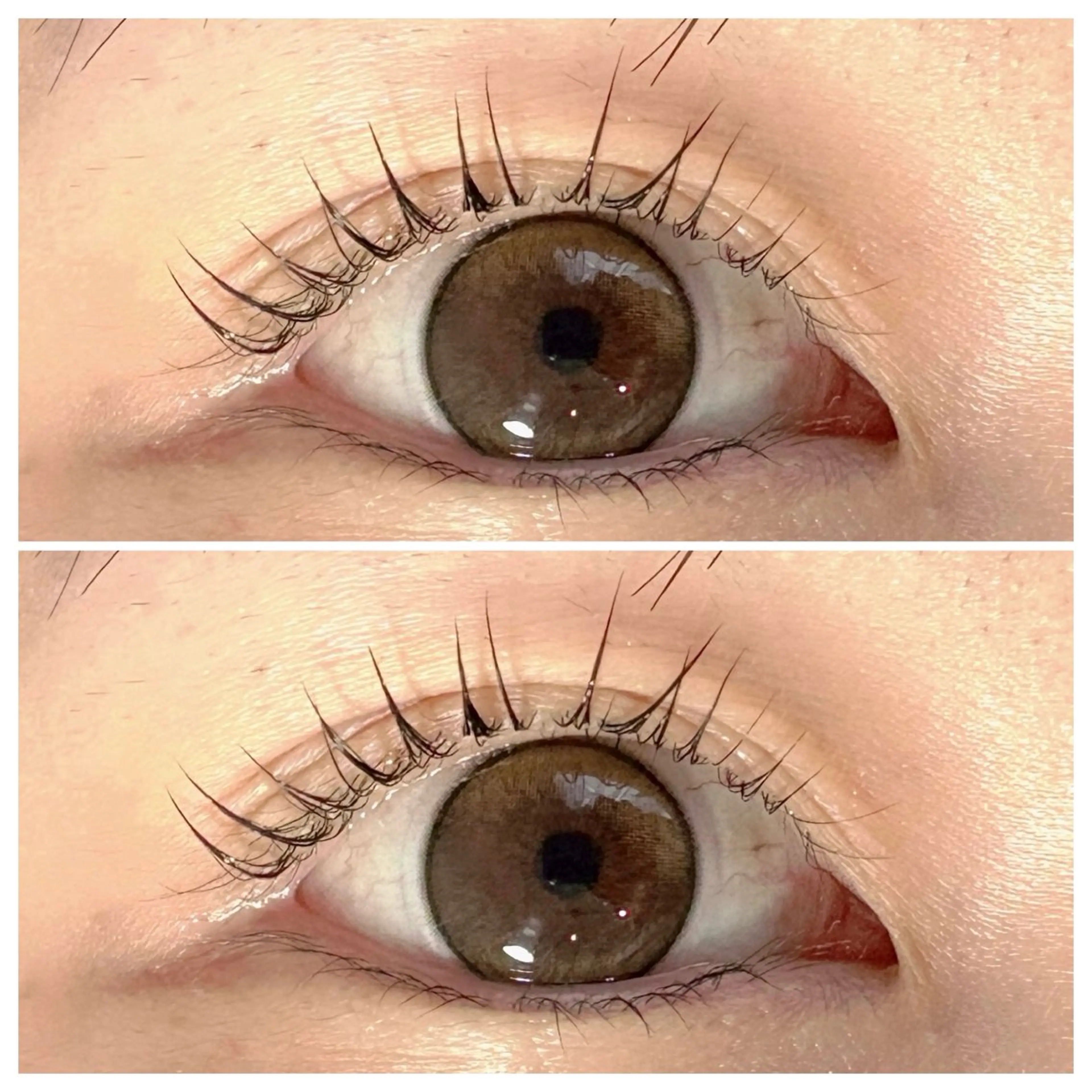 マツエク・マツパ パリジェンヌラッシュリフト マツパ 🦋MaaZlash 南流山FUKA🤍のマツエク・マツパデザイン