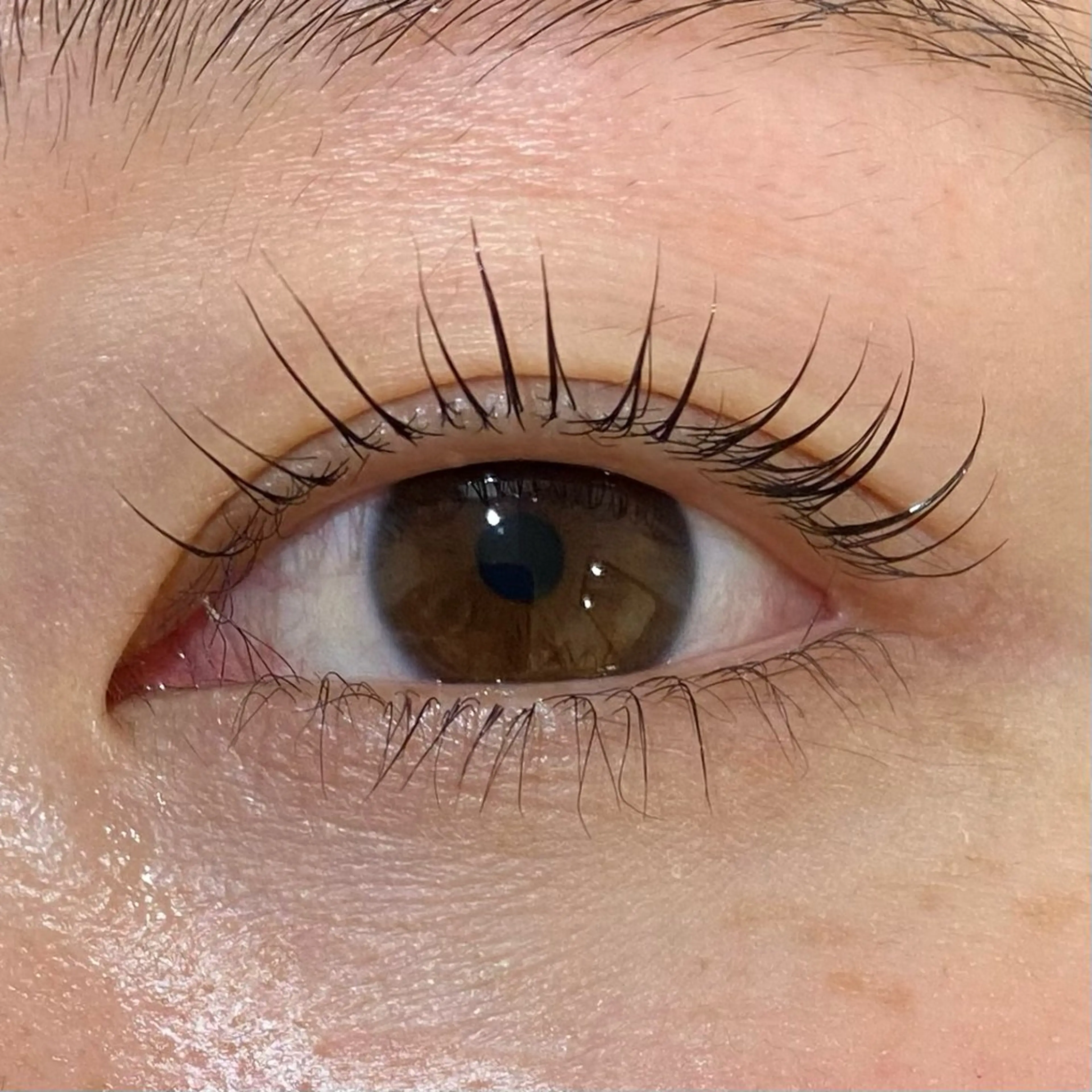 マツエク・マツパ 🐈ニナ🐈‍⬛/メ ンズカット/まつパのマツエク・マツパデザイン