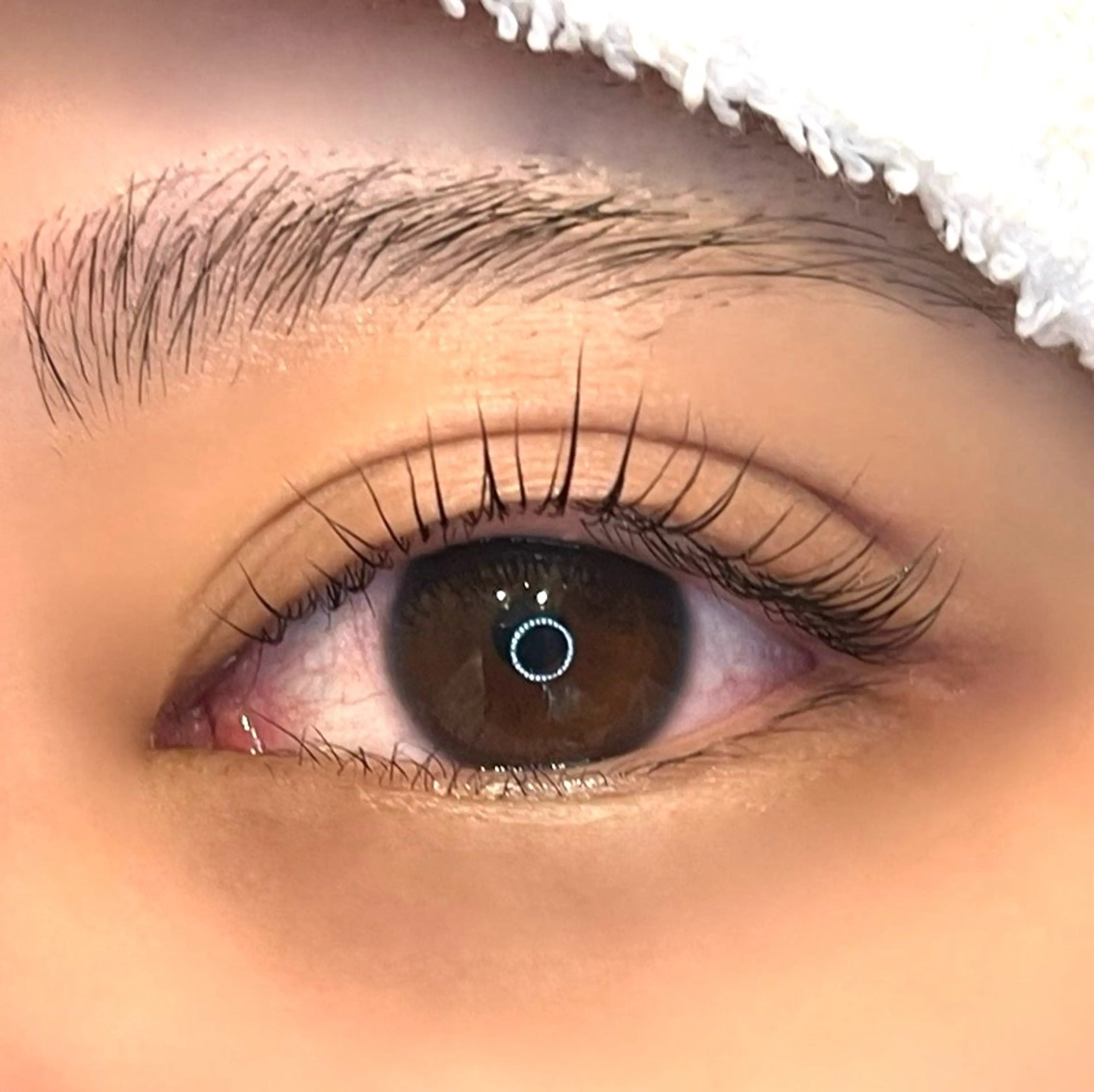 マツエク・マツパ メゾンドシャルム NISHIKAWAのマツエク・マツパデザイン