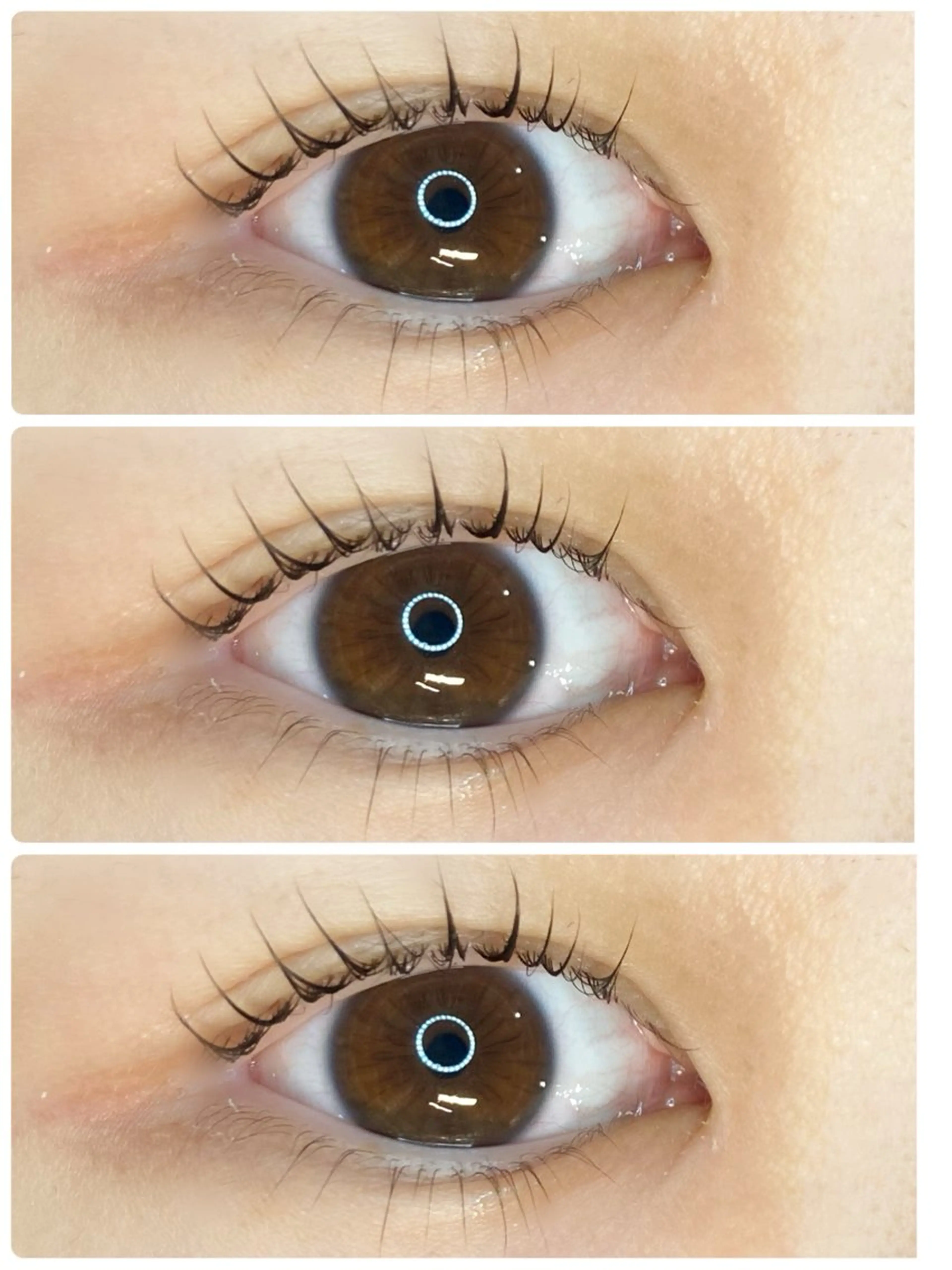 モデル価格‼︎上下まつ毛パーマ👀👑6600円♪の写真