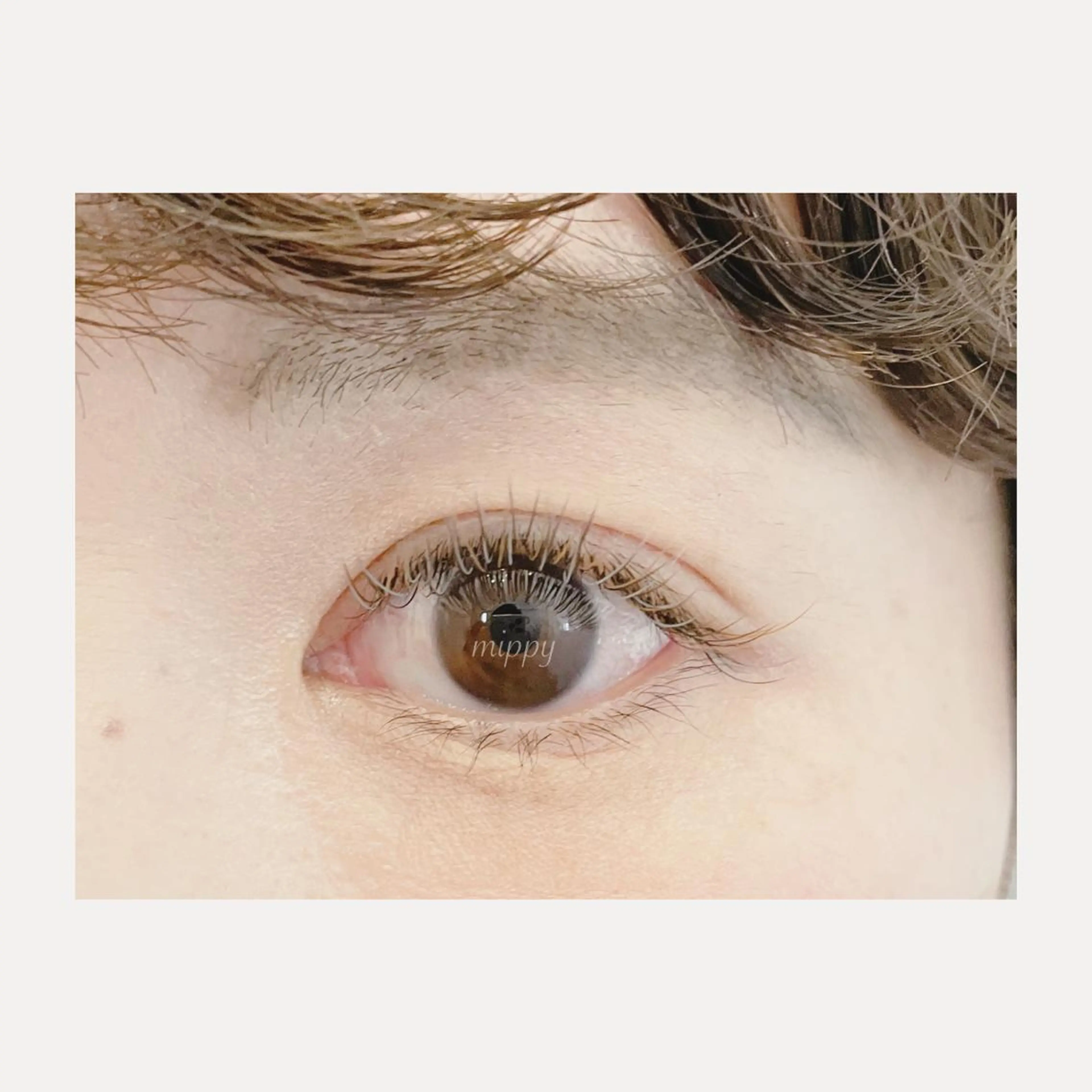 マツエク・マツパ 付け放題 ｍｉｐｐｙ 🪽のマツエク・マツパデザイン