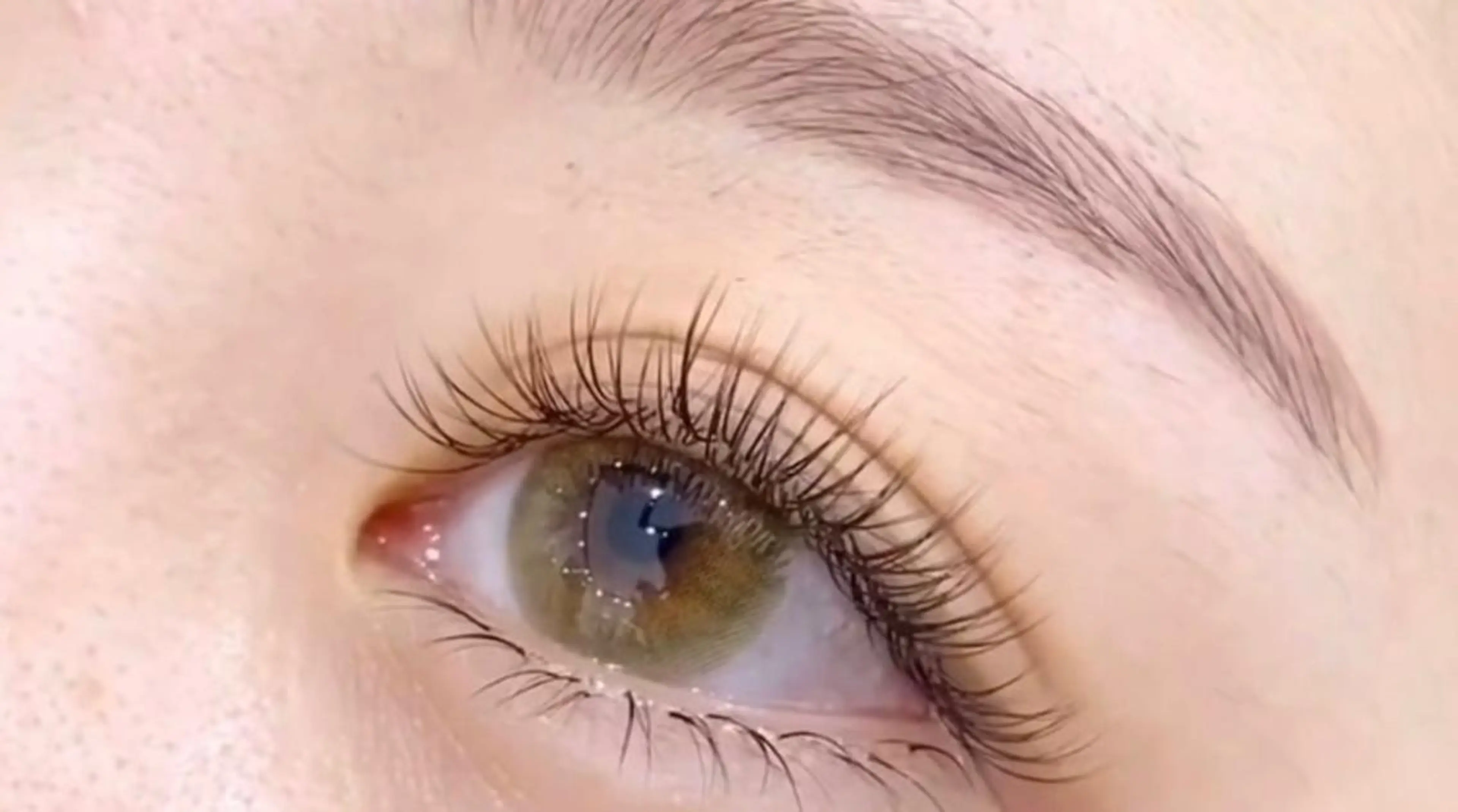 マツエク・マツパ Cカール フラットラッシュ ナチュラル マツエク Livnus リブナスのマツエク・マツパデザイン