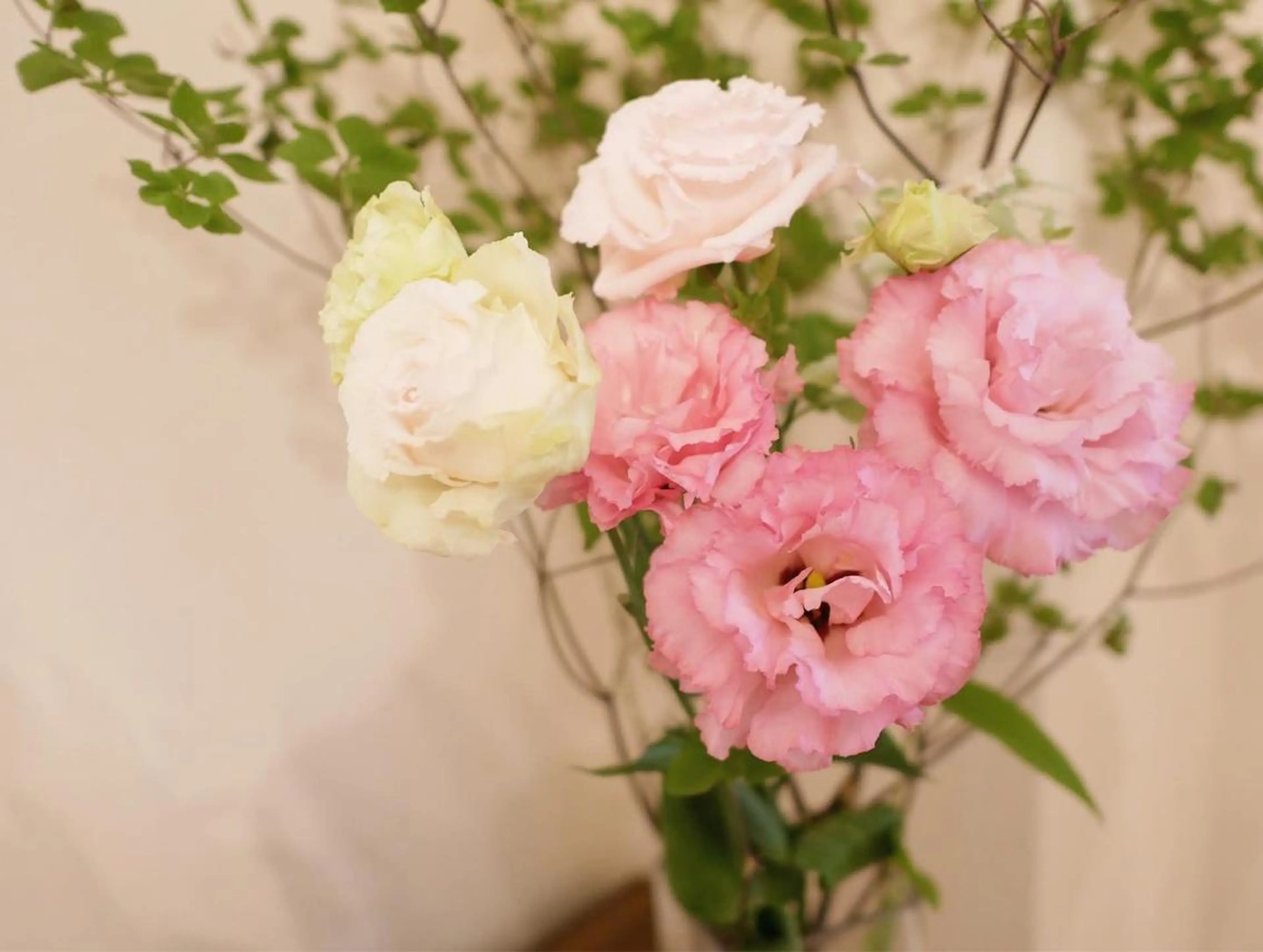 ミディアム カラー パーマ ヘアアレンジ メンズ キッズ ネイル マツエク・マツパ ニキビ跡専門サロン Ａｉｎａのエステ・リラクイメージ