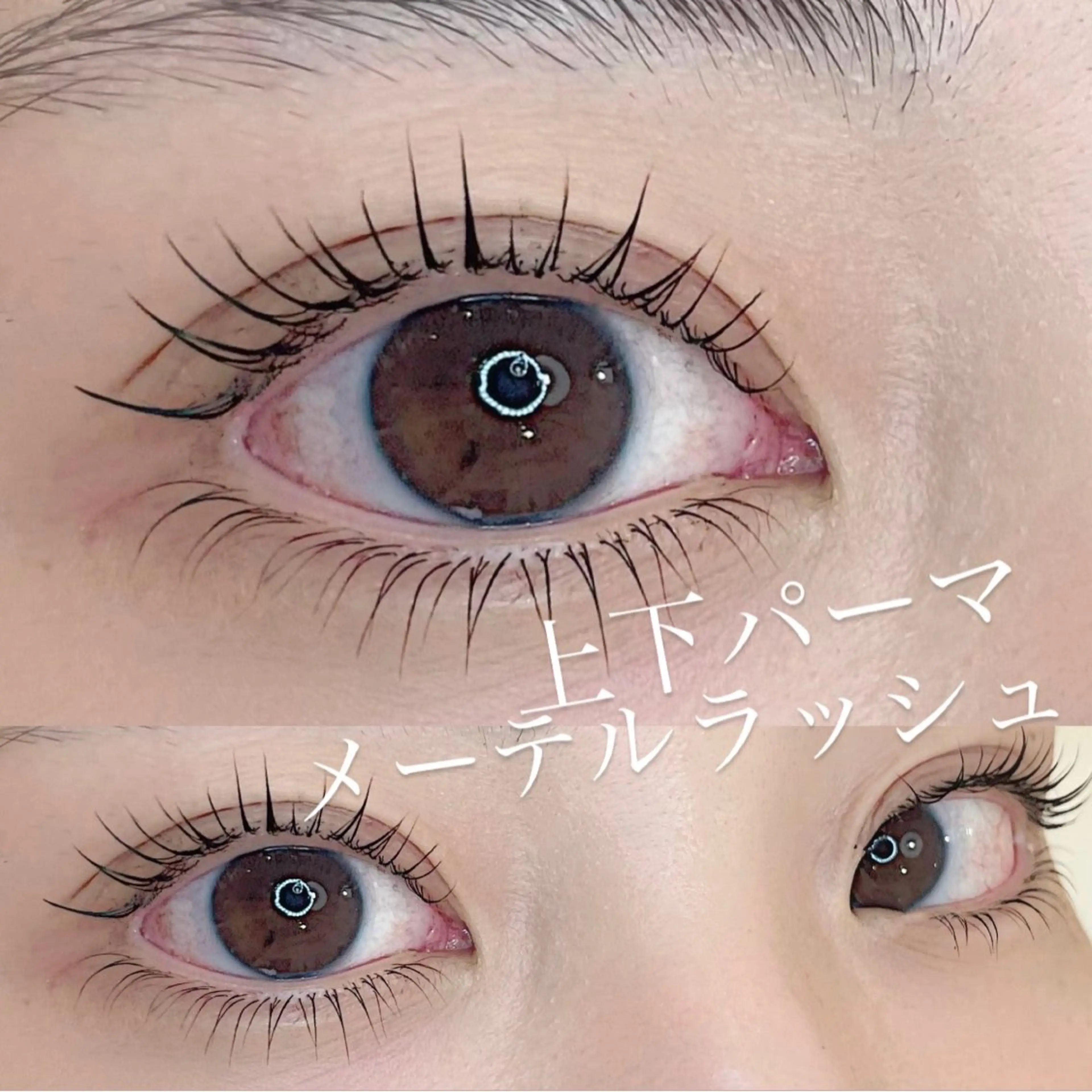 マツエク・マツパ BEAUTYCURL +plus所属・BEAUTYCURL ＋plusなんば店のマツエク・マツパデザイン