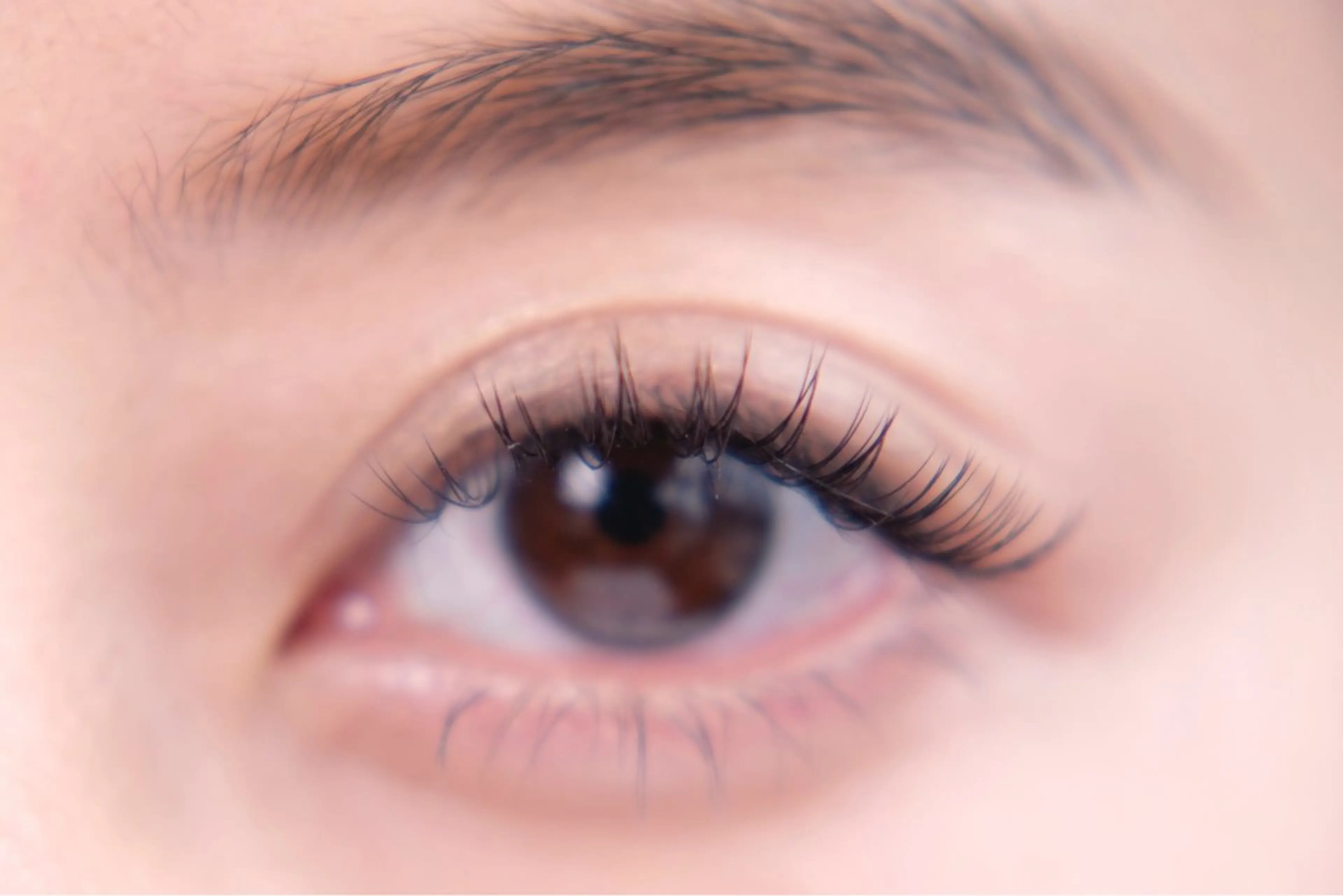 マツエク・マツパ asuka 𖥸 アイブロウ🦊🤎の眉毛・アイブロウイメージ