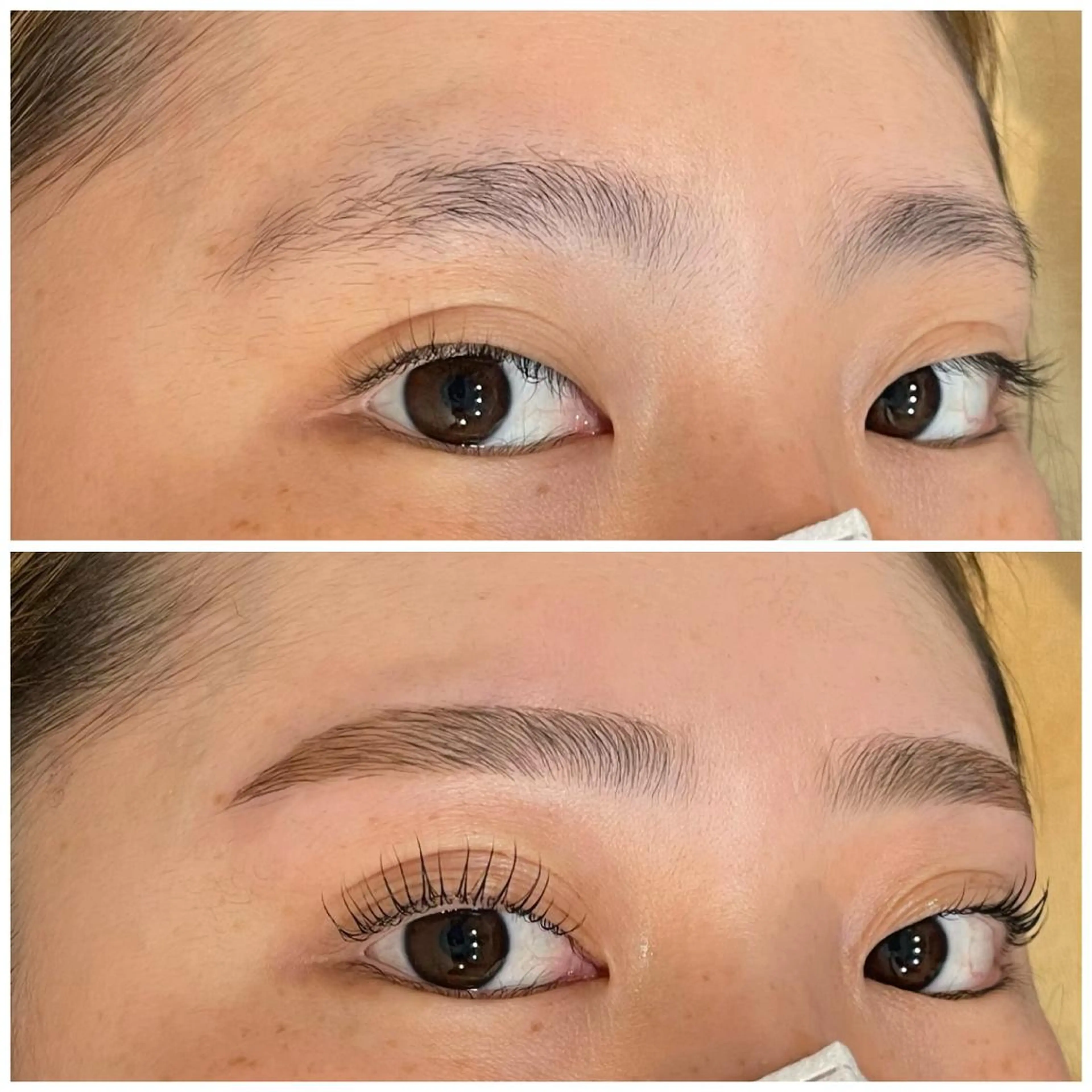 【人気No.1MENU】ハリウッドブロウリフト×パリジェンヌラッシュリフトの写真