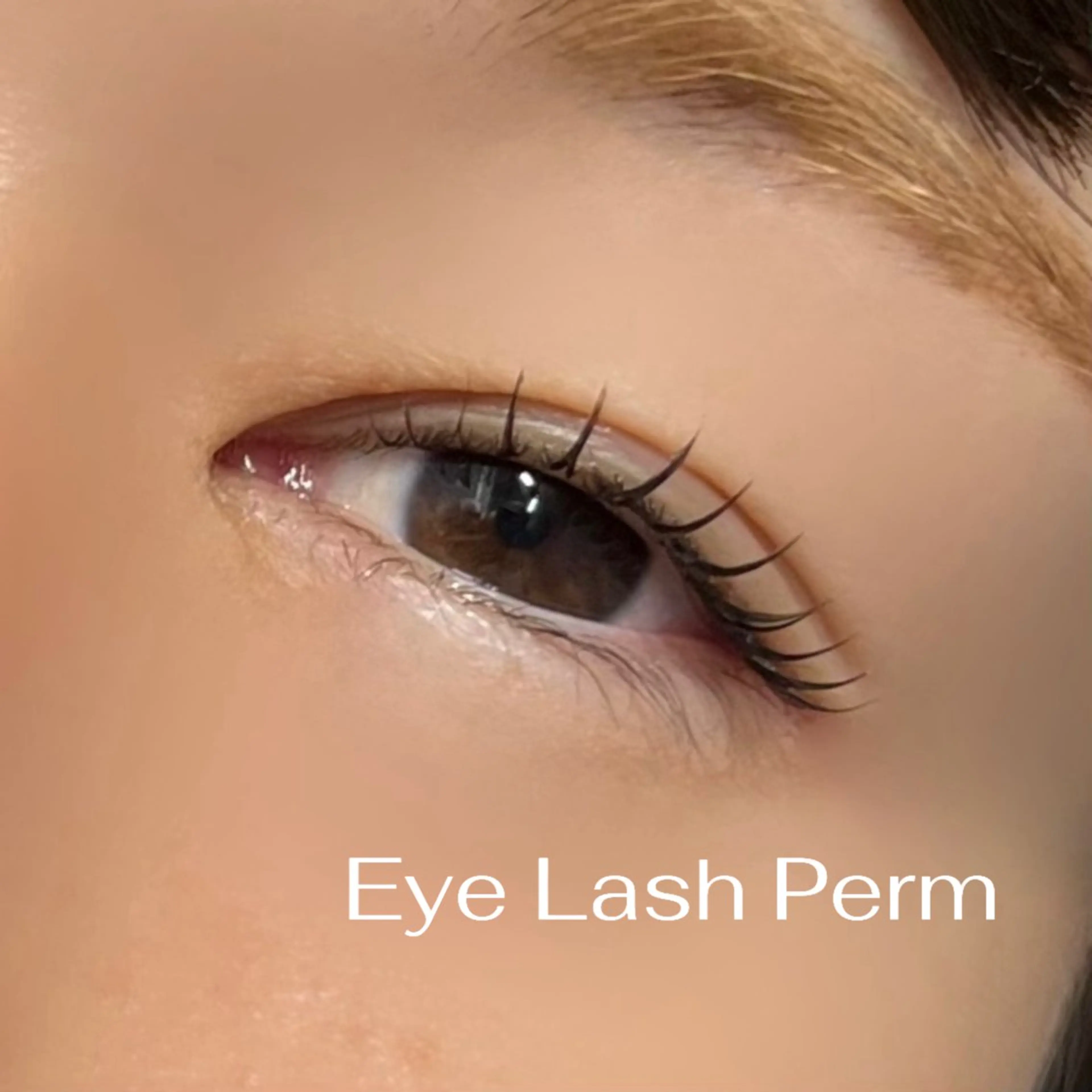 マツエク・マツパ iolo Yabumotoのマツエク・マツパデザイン