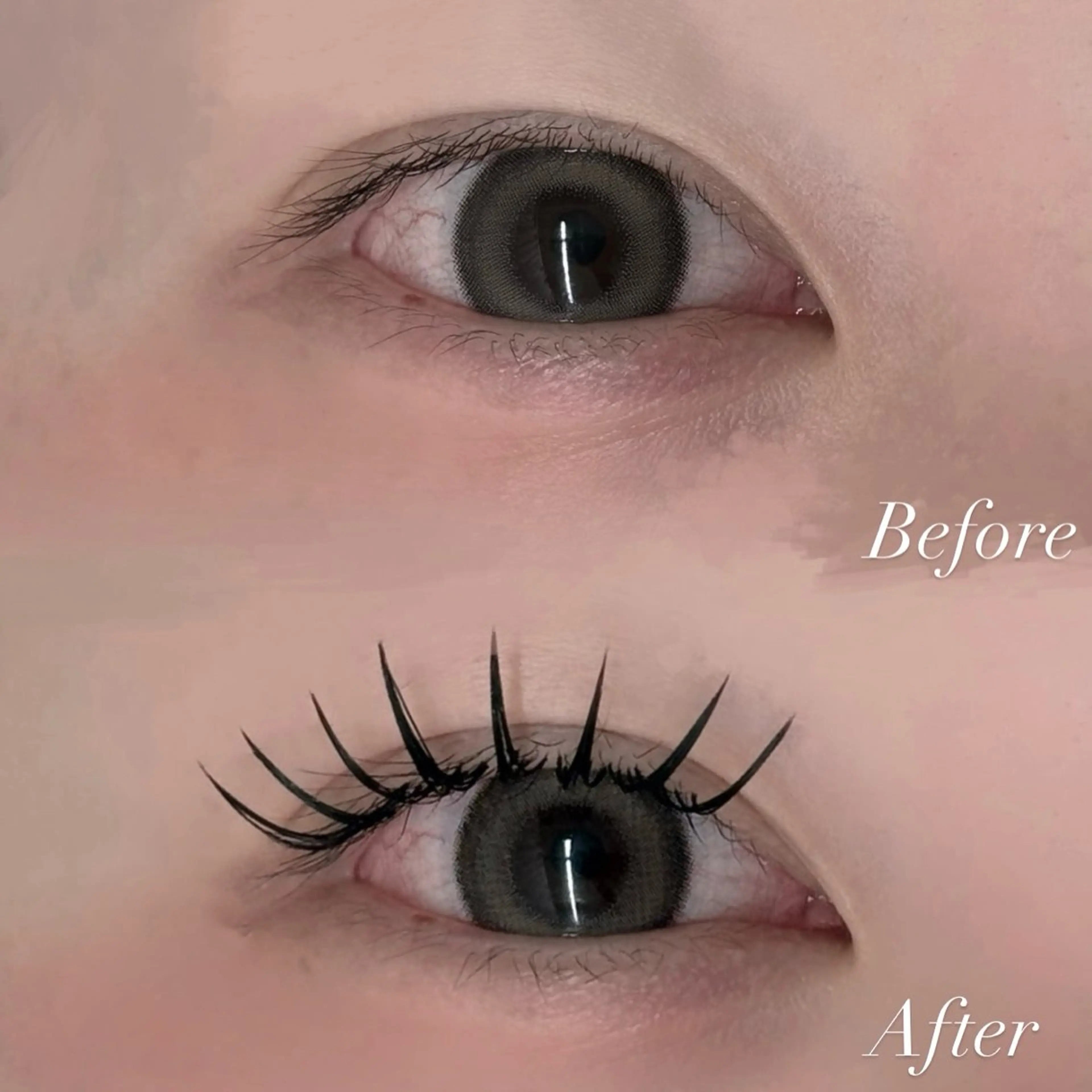 マツエク・マツパ tomteトムテ junmiのマツエク・マツパデザイン