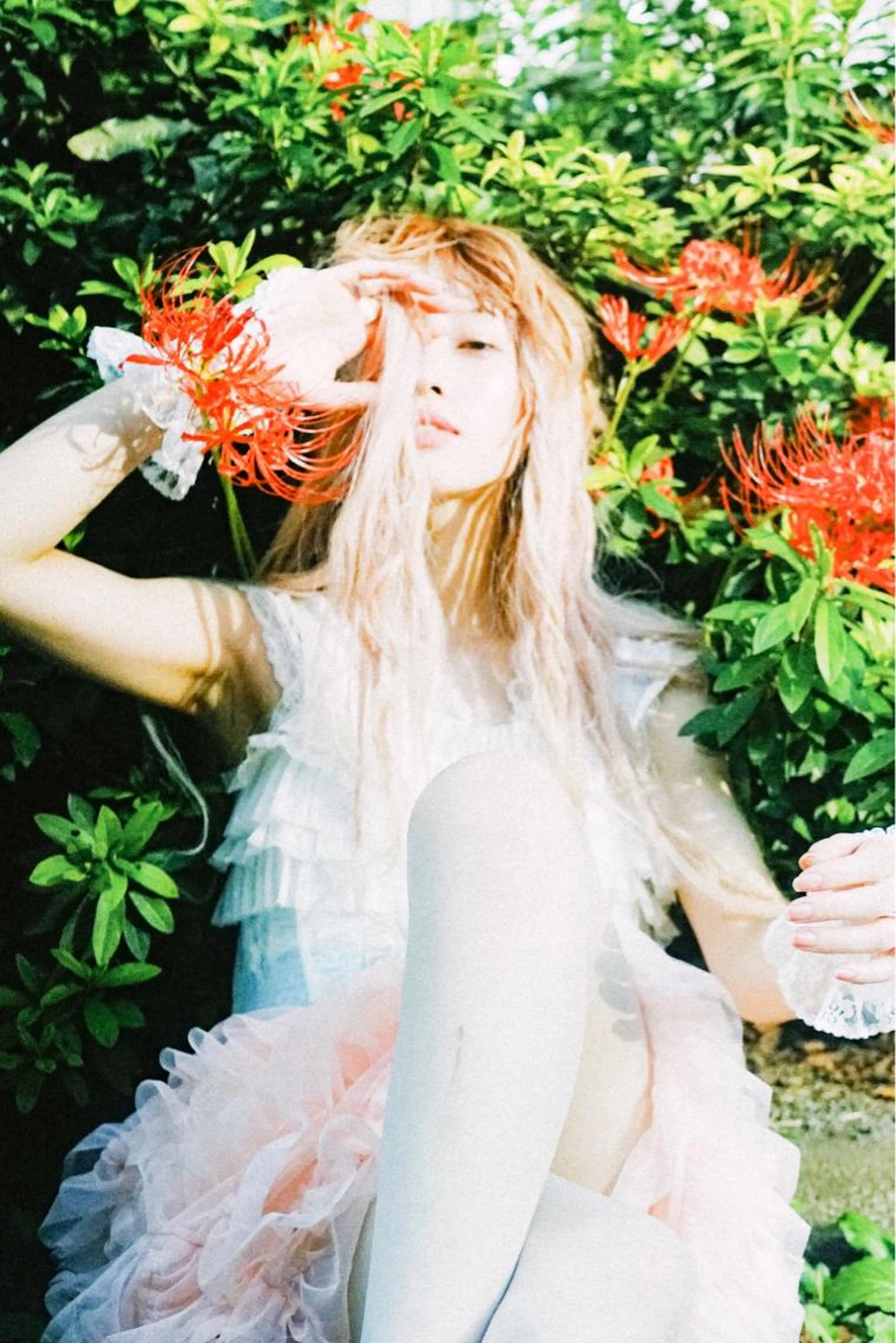 【期間限定】🐳トリプルカラー(ブリーチ2回にカラー)🐳の写真